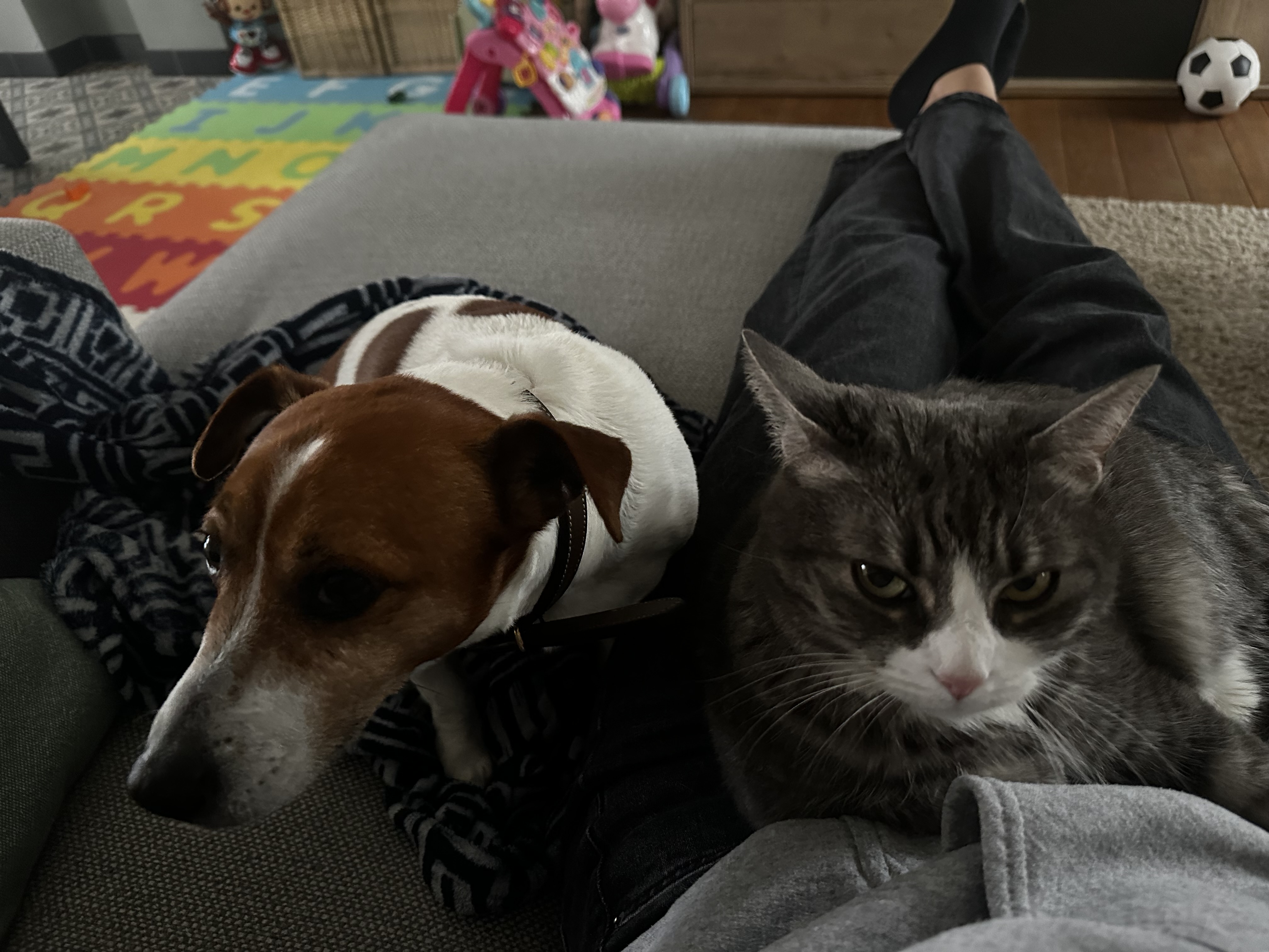 image-10