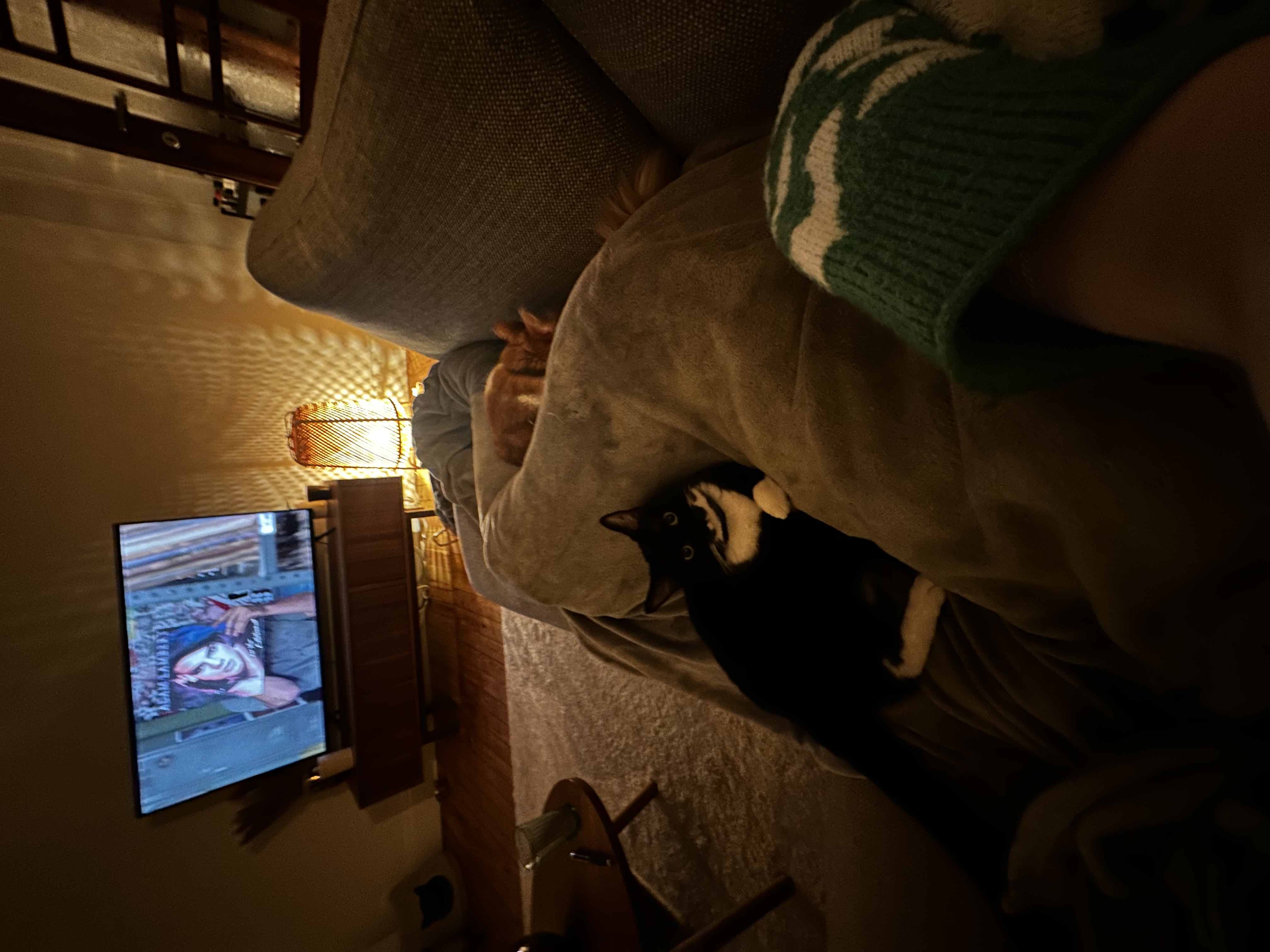 image-8