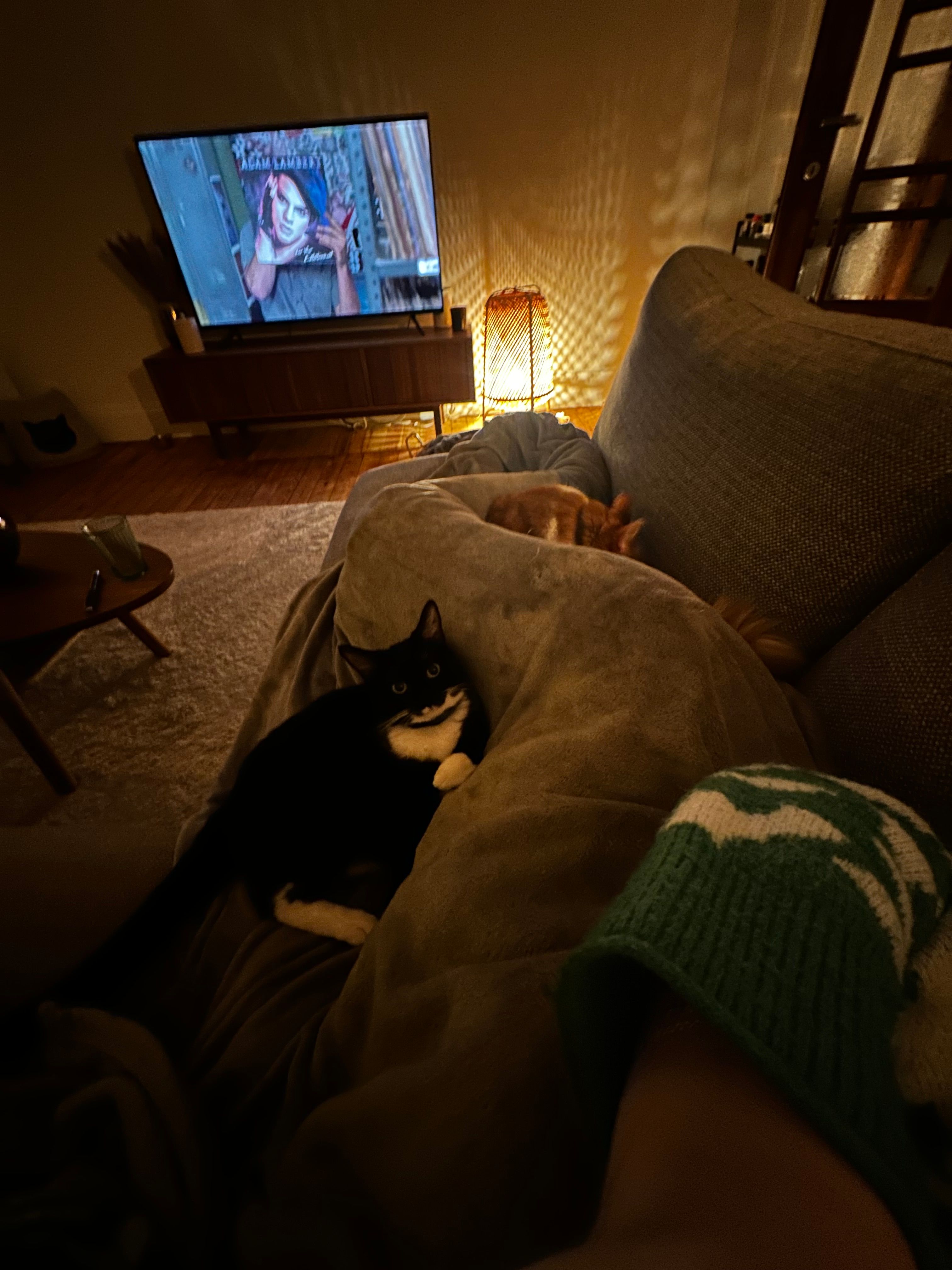 image-8