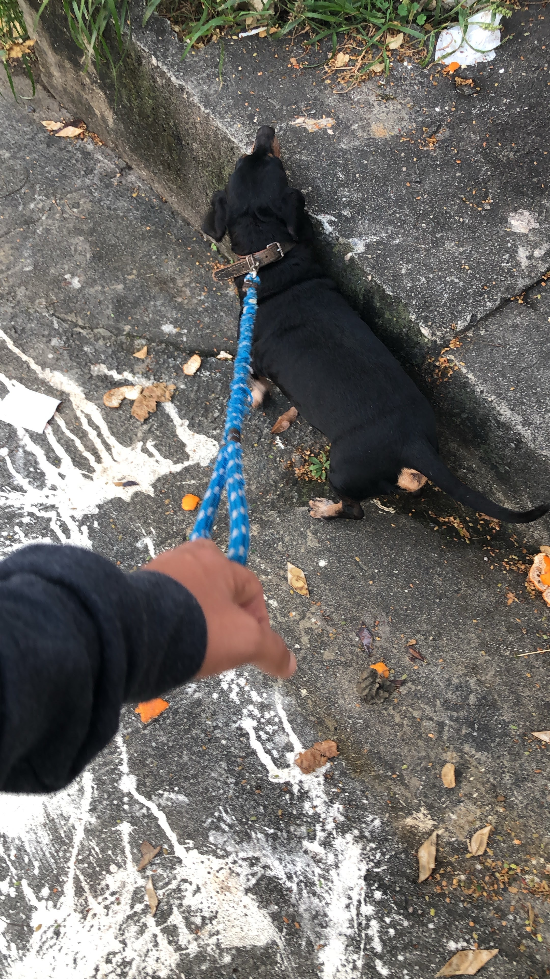 image-7