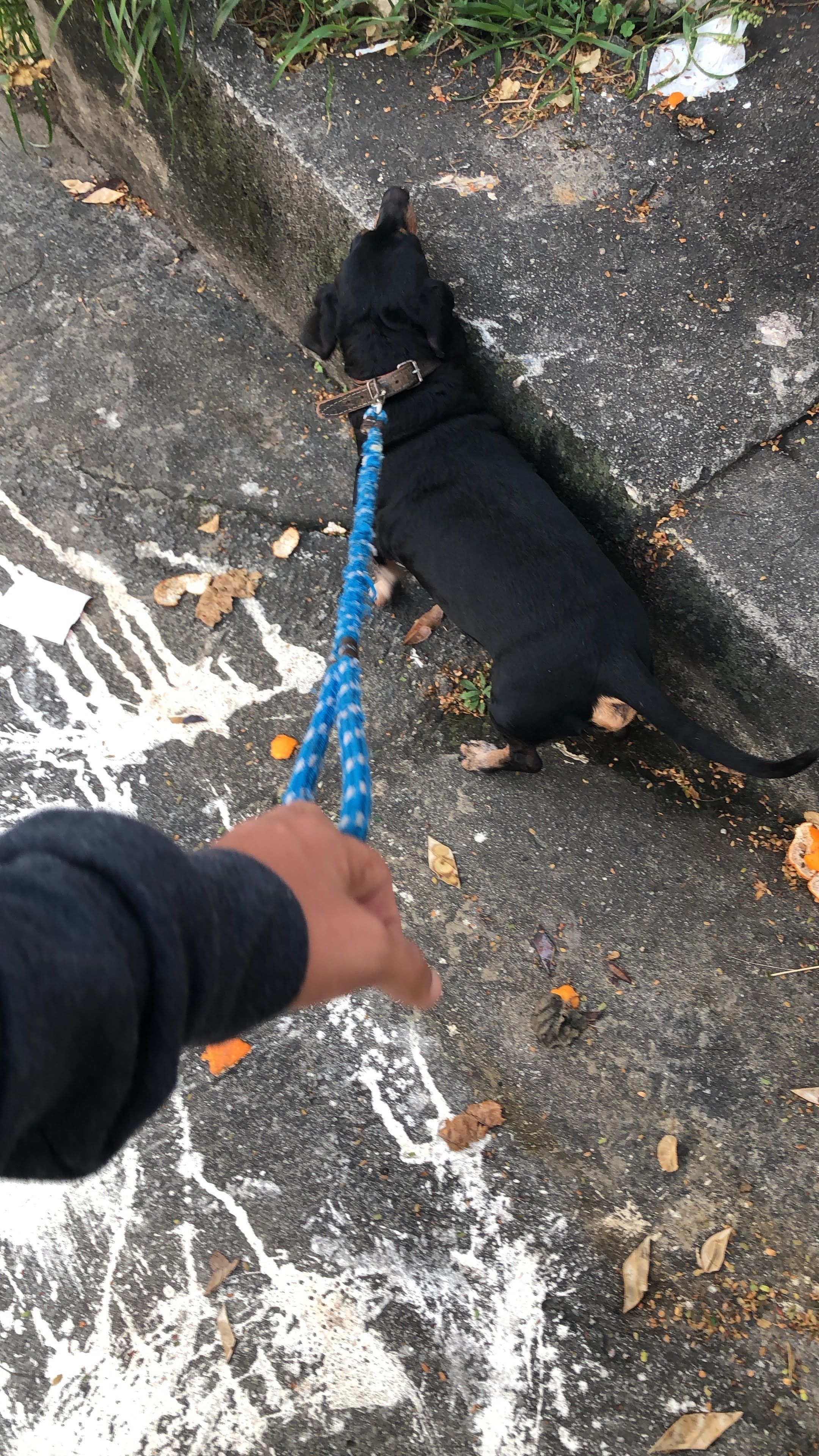 image-7