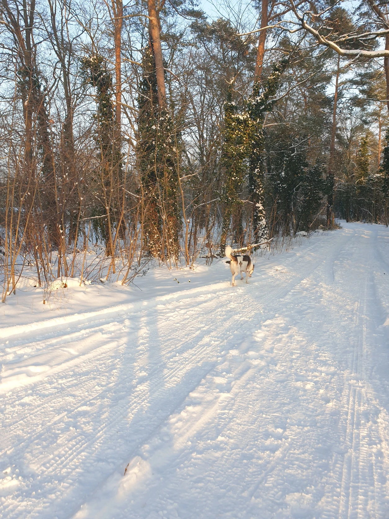 image-9