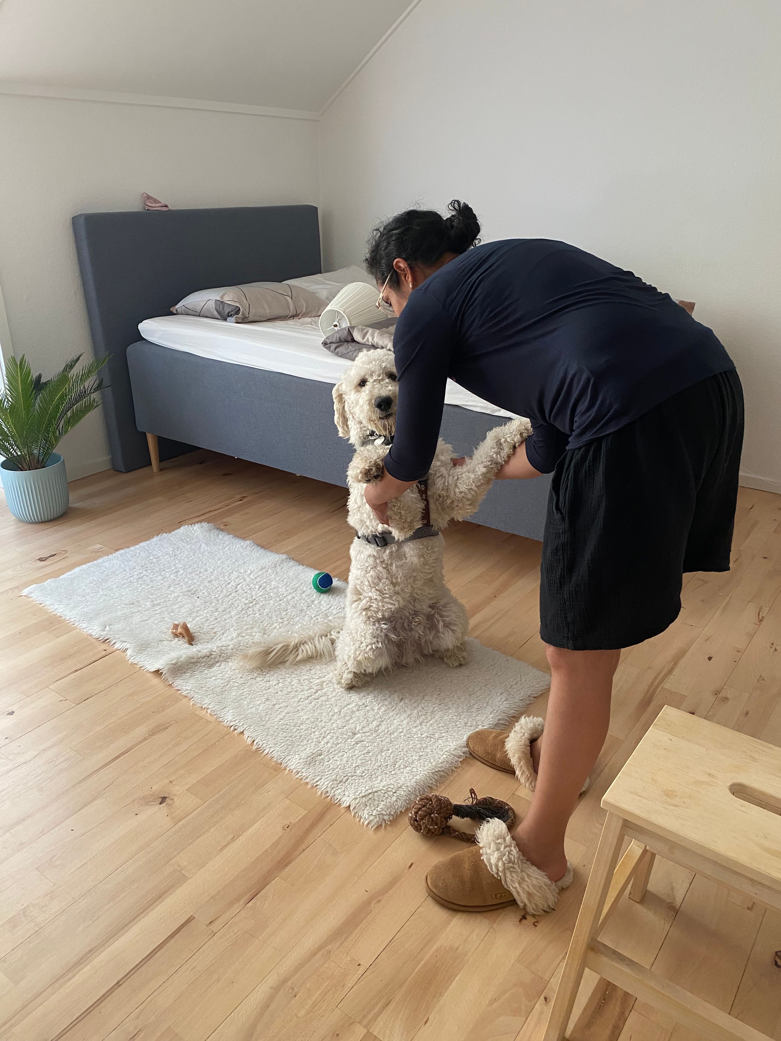 image-13