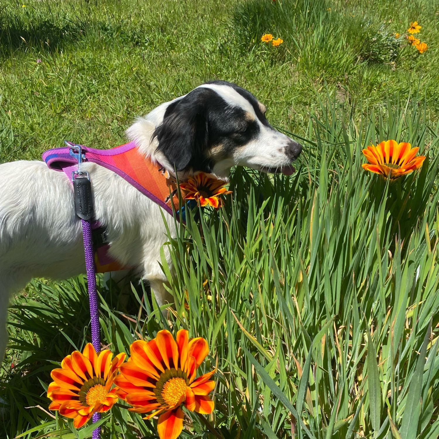 Lupita