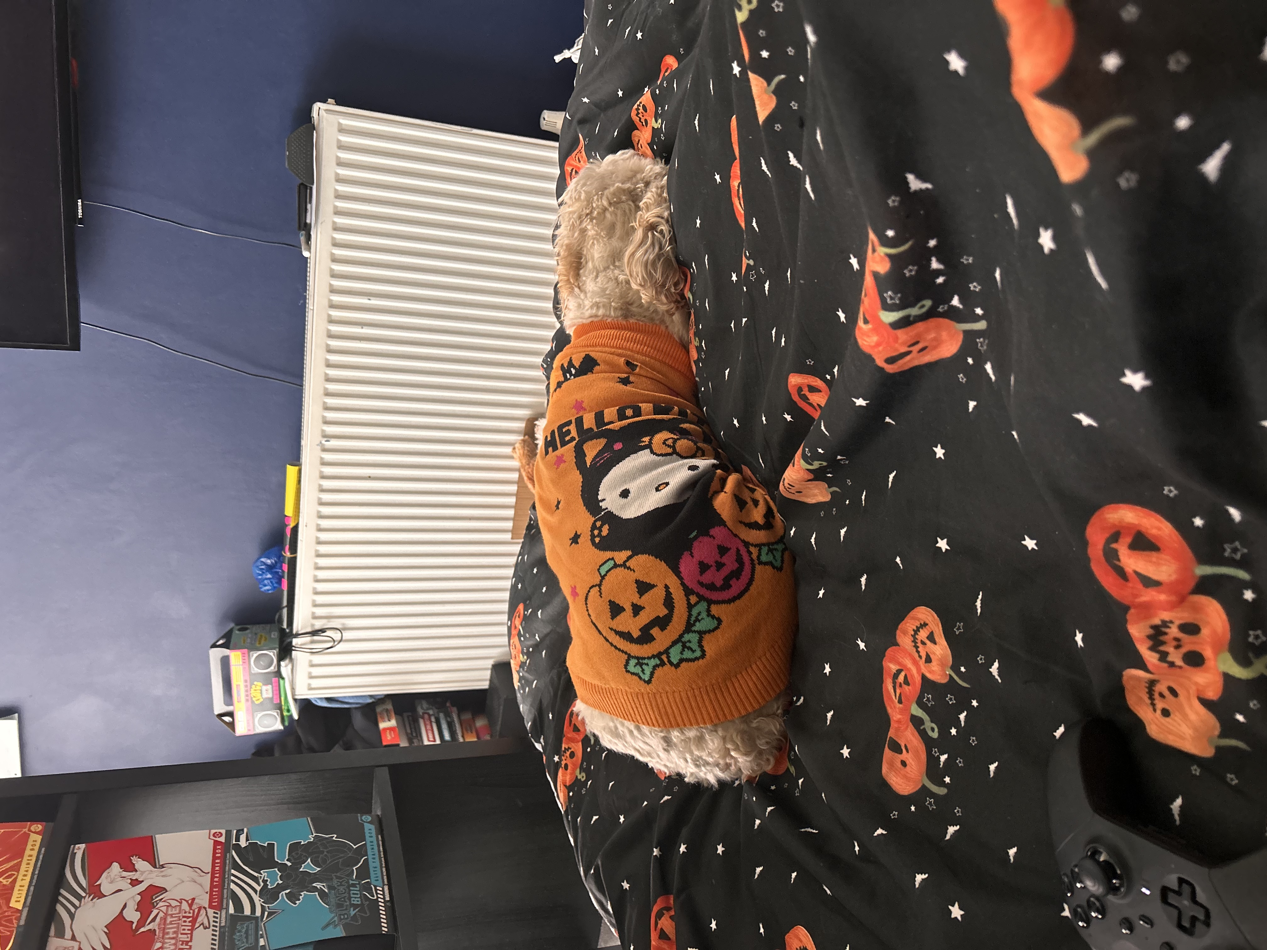 image-8