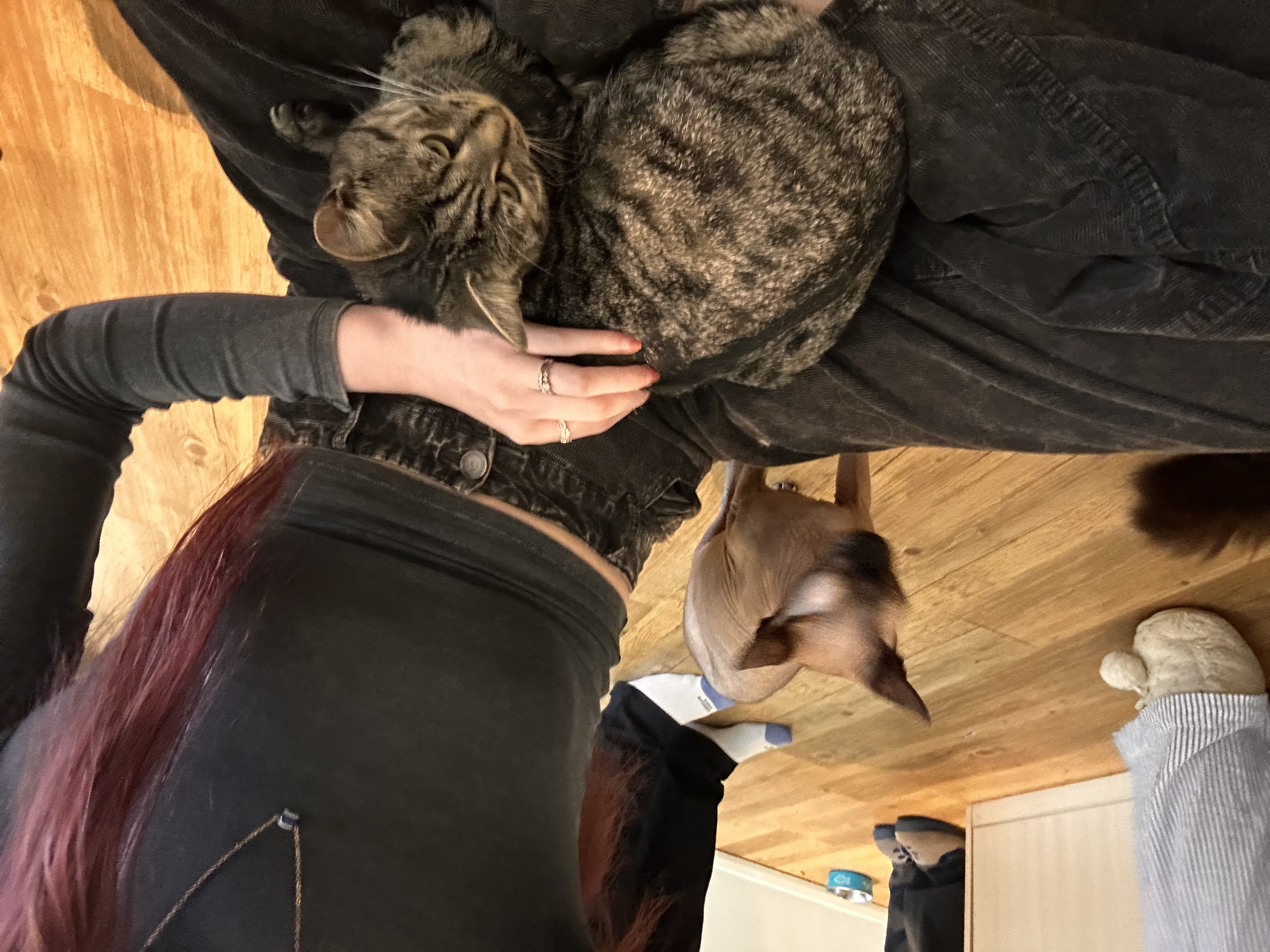 image-11