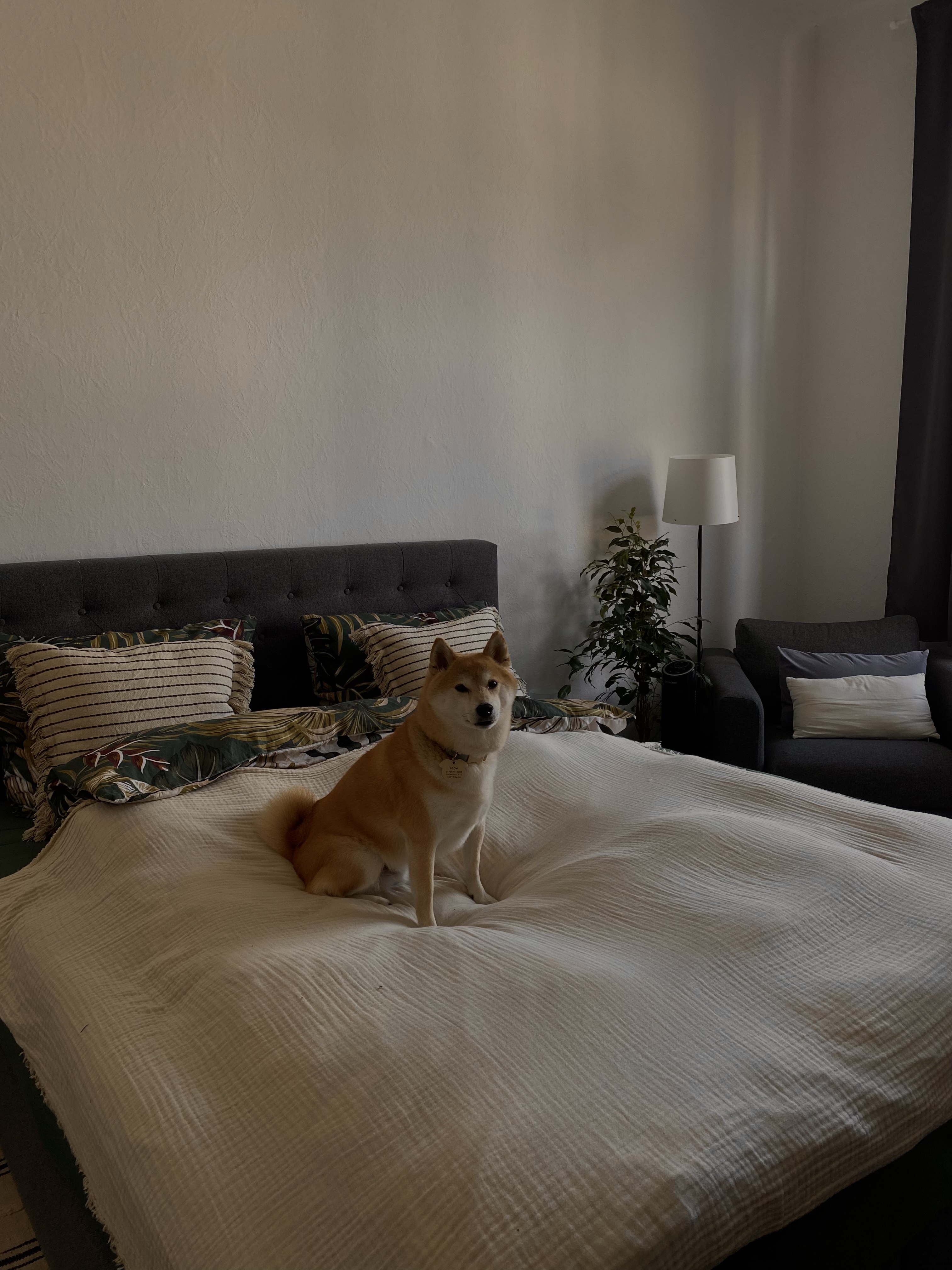 image-8