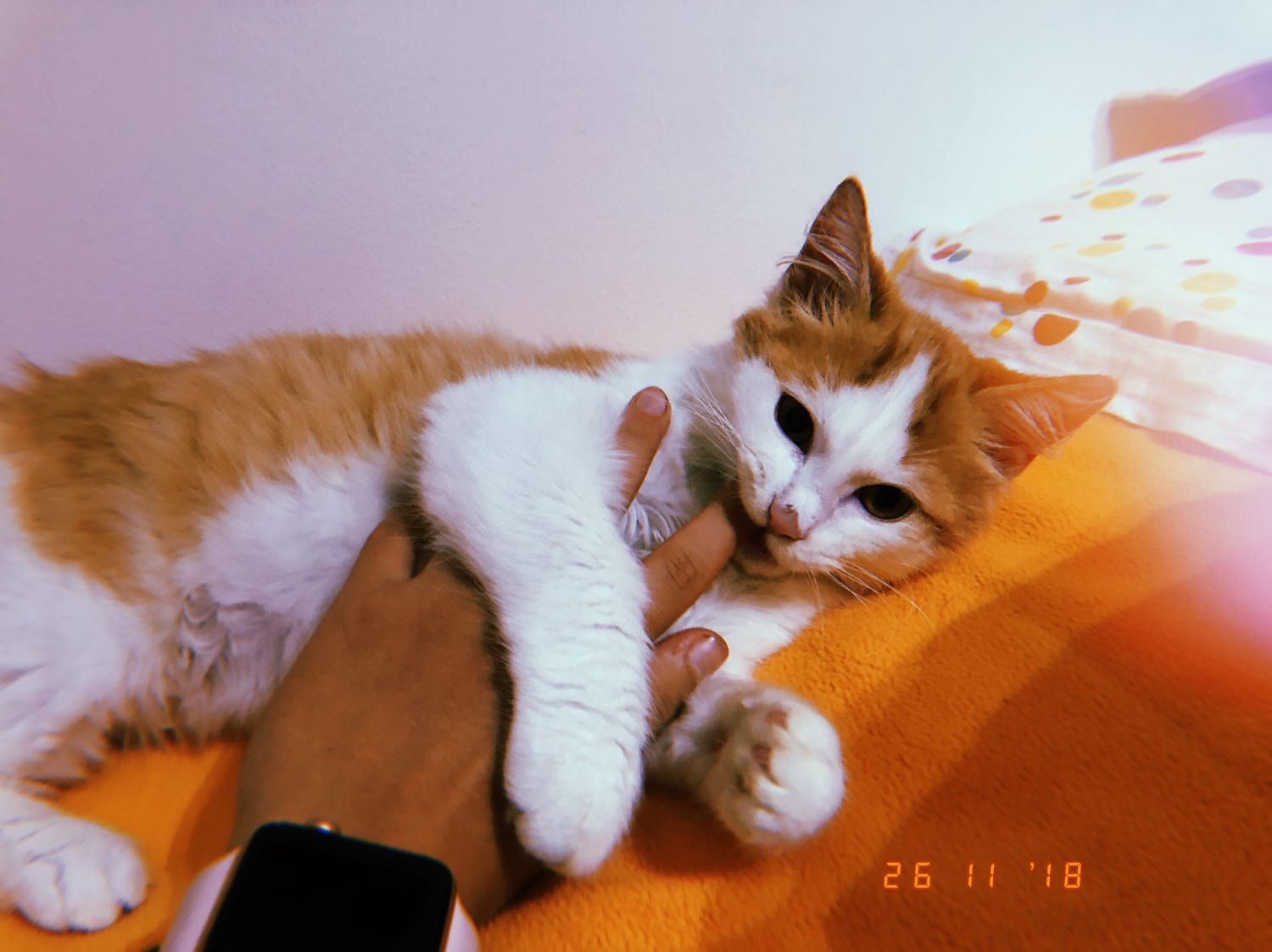 image-11