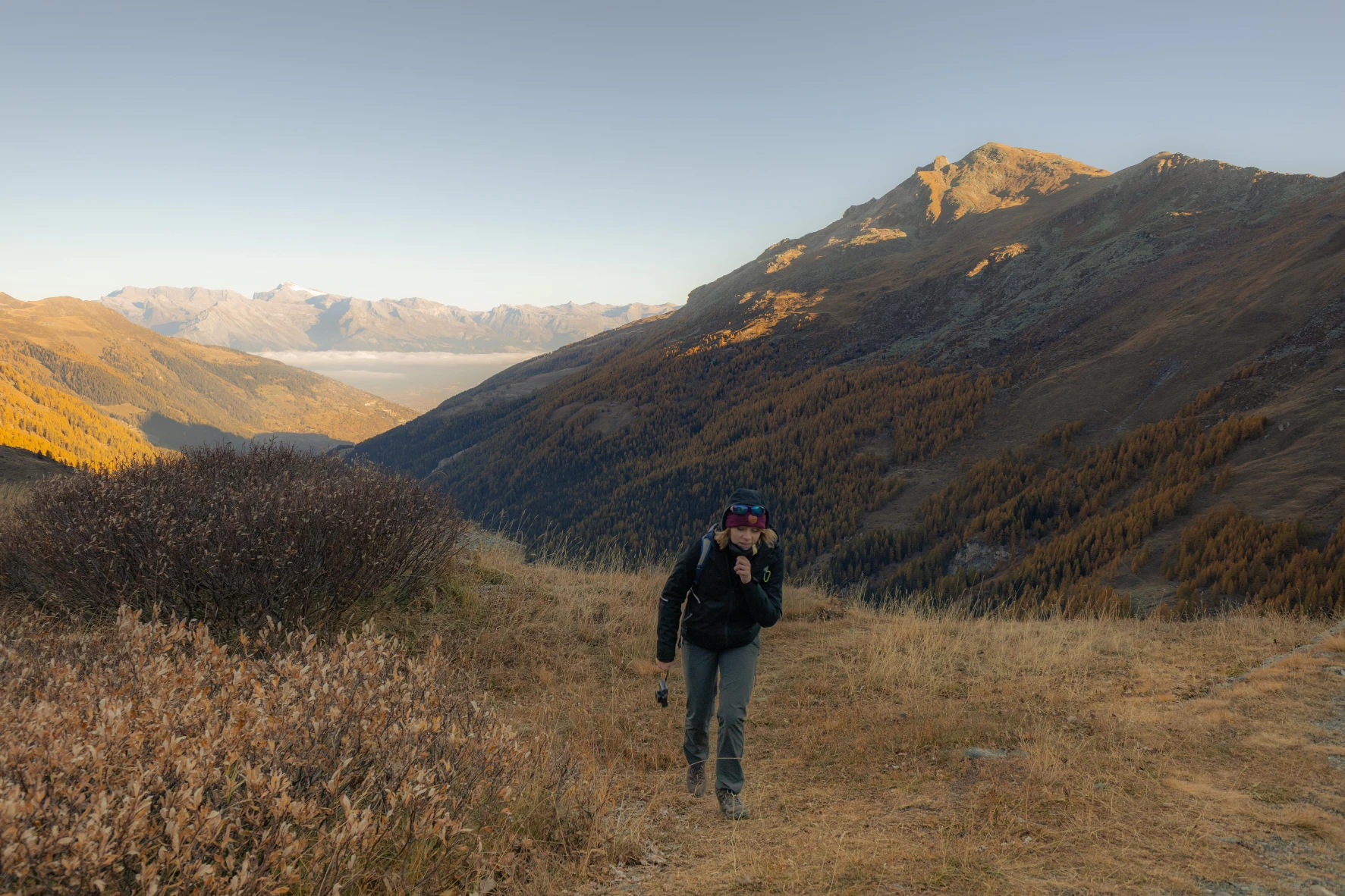 image-7