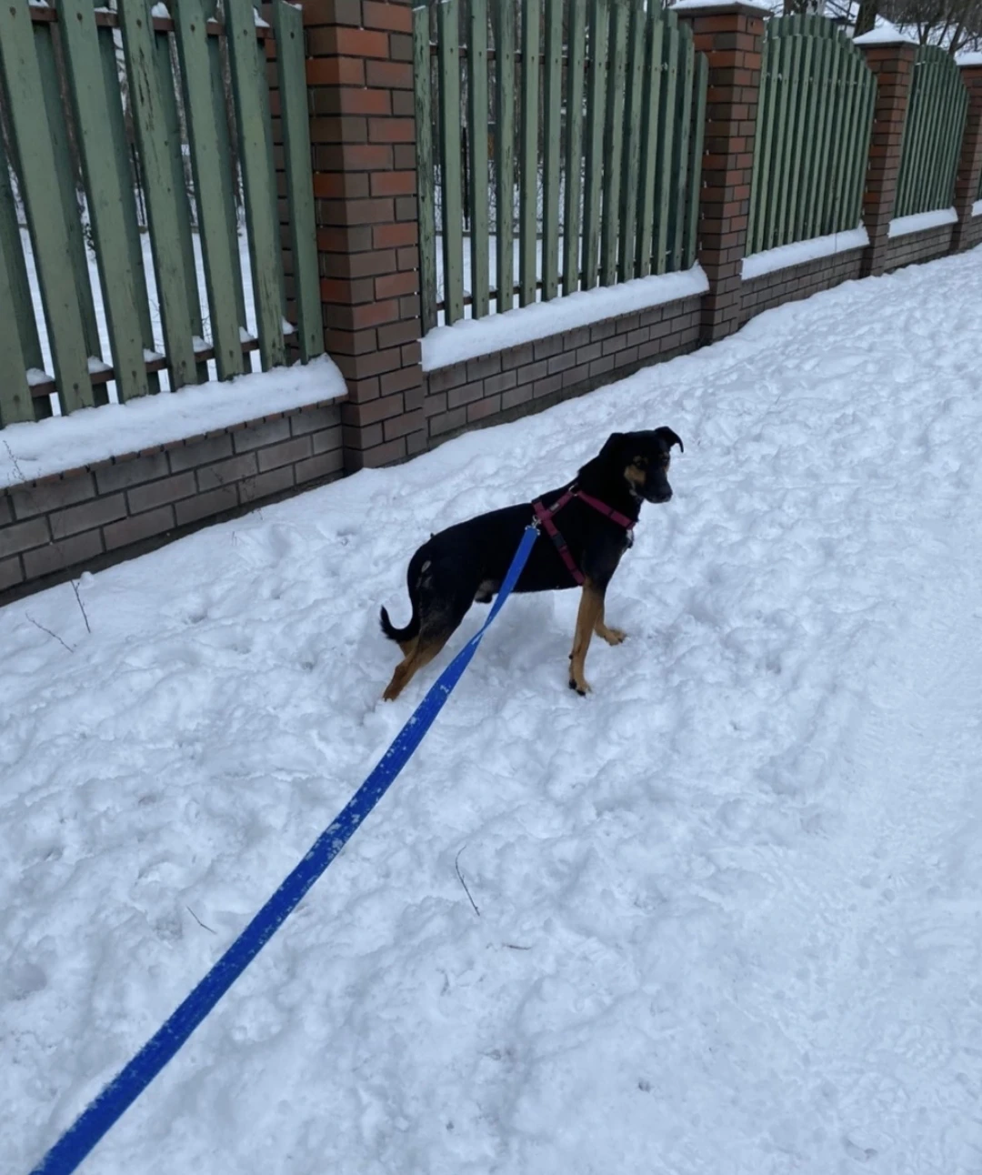 image-9