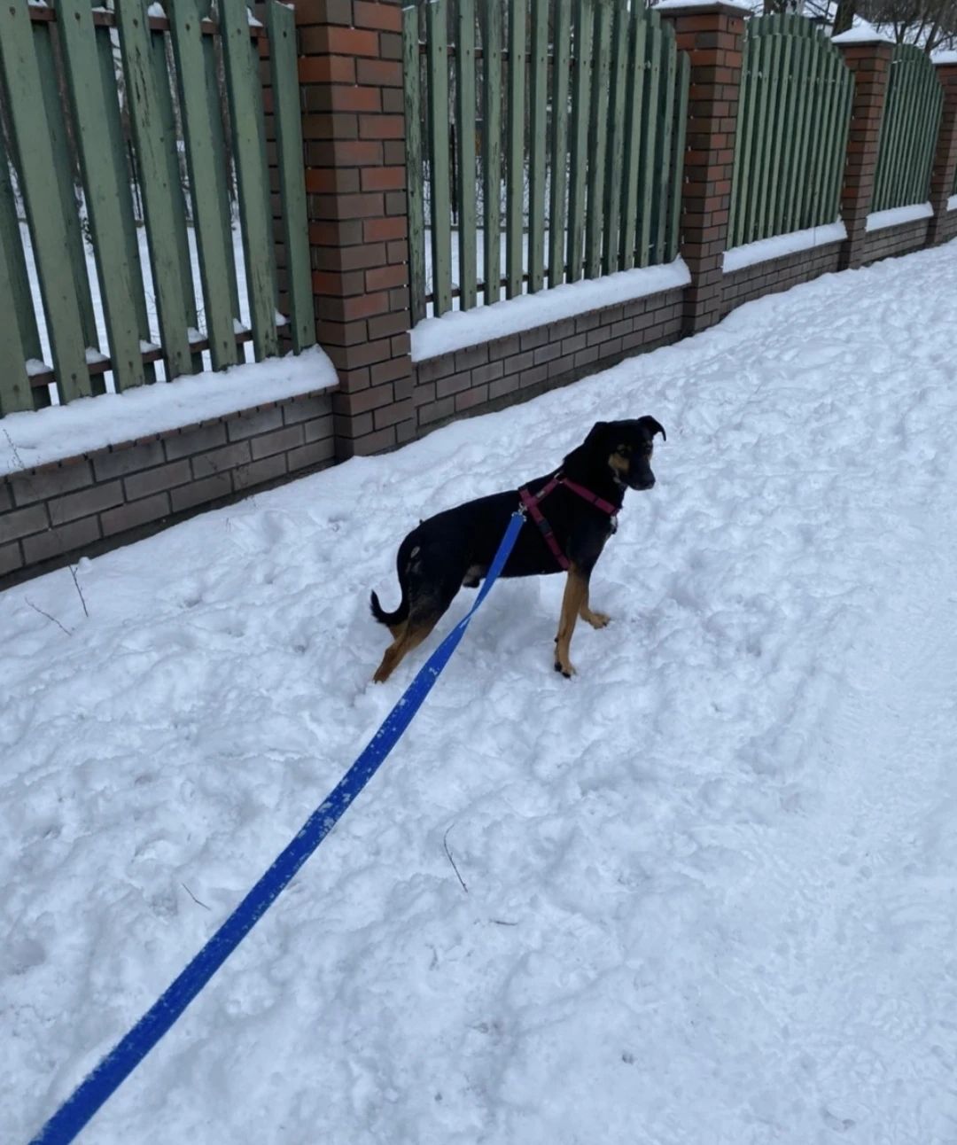 image-9
