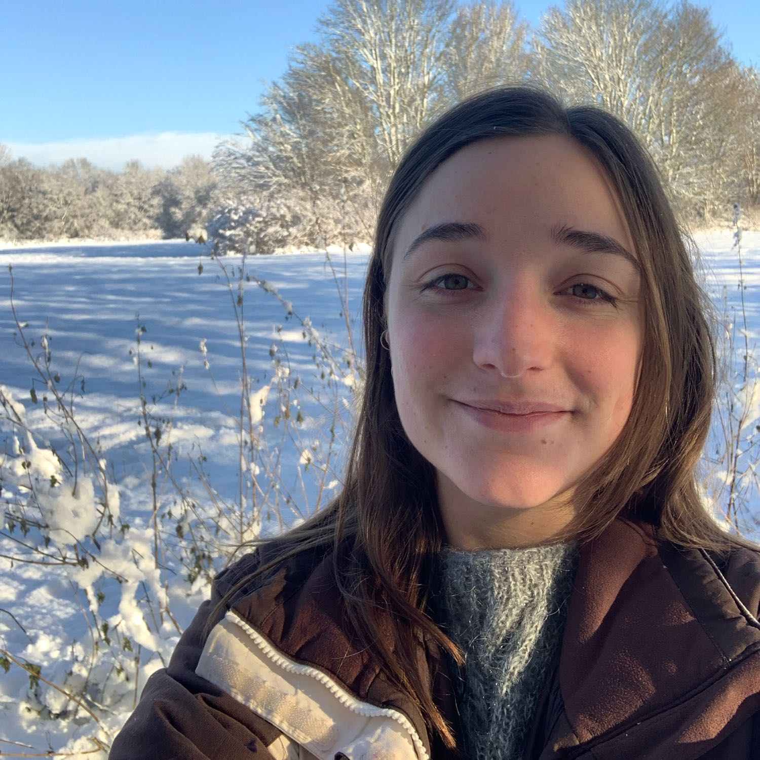 Holly