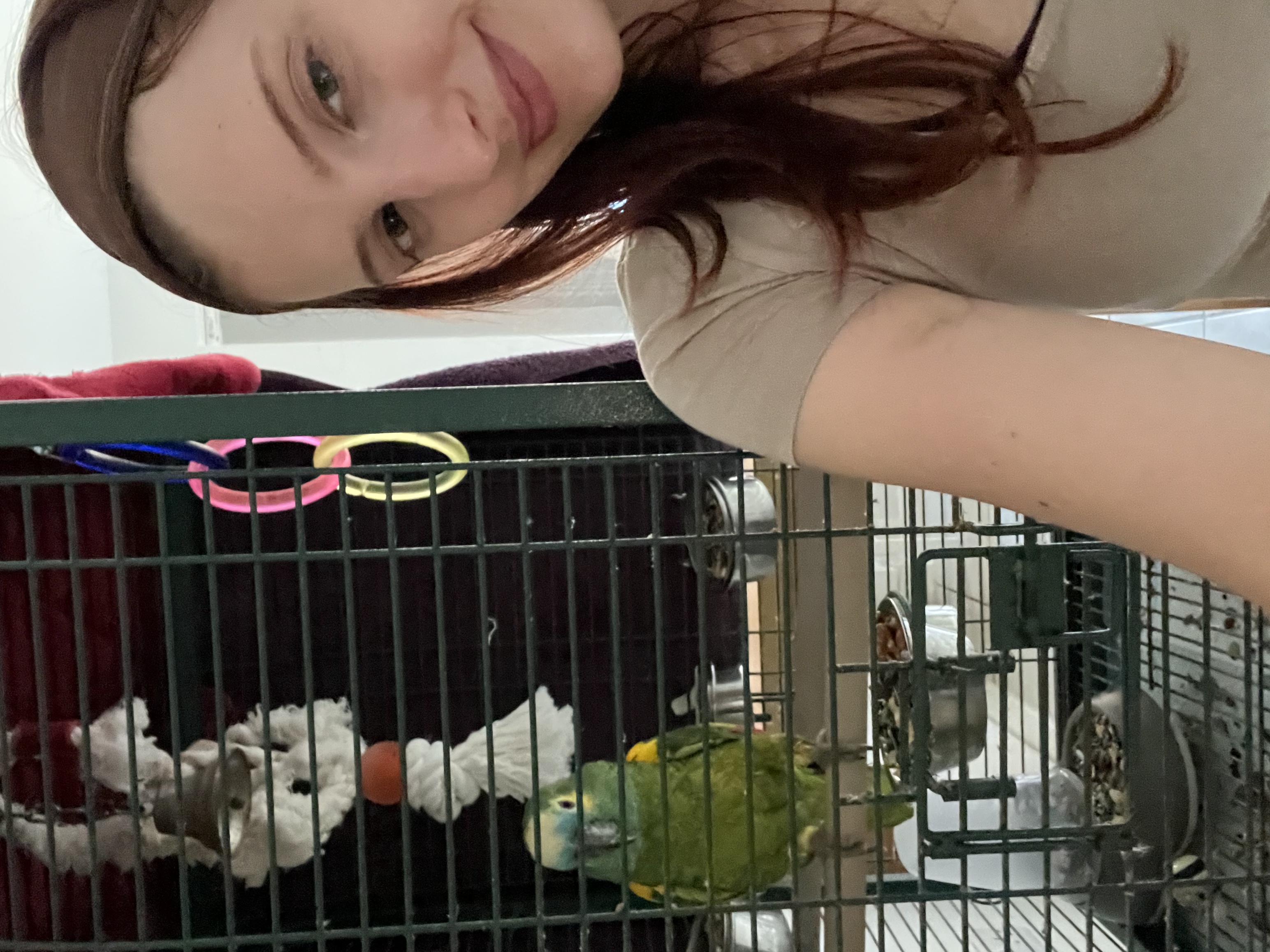 image-14