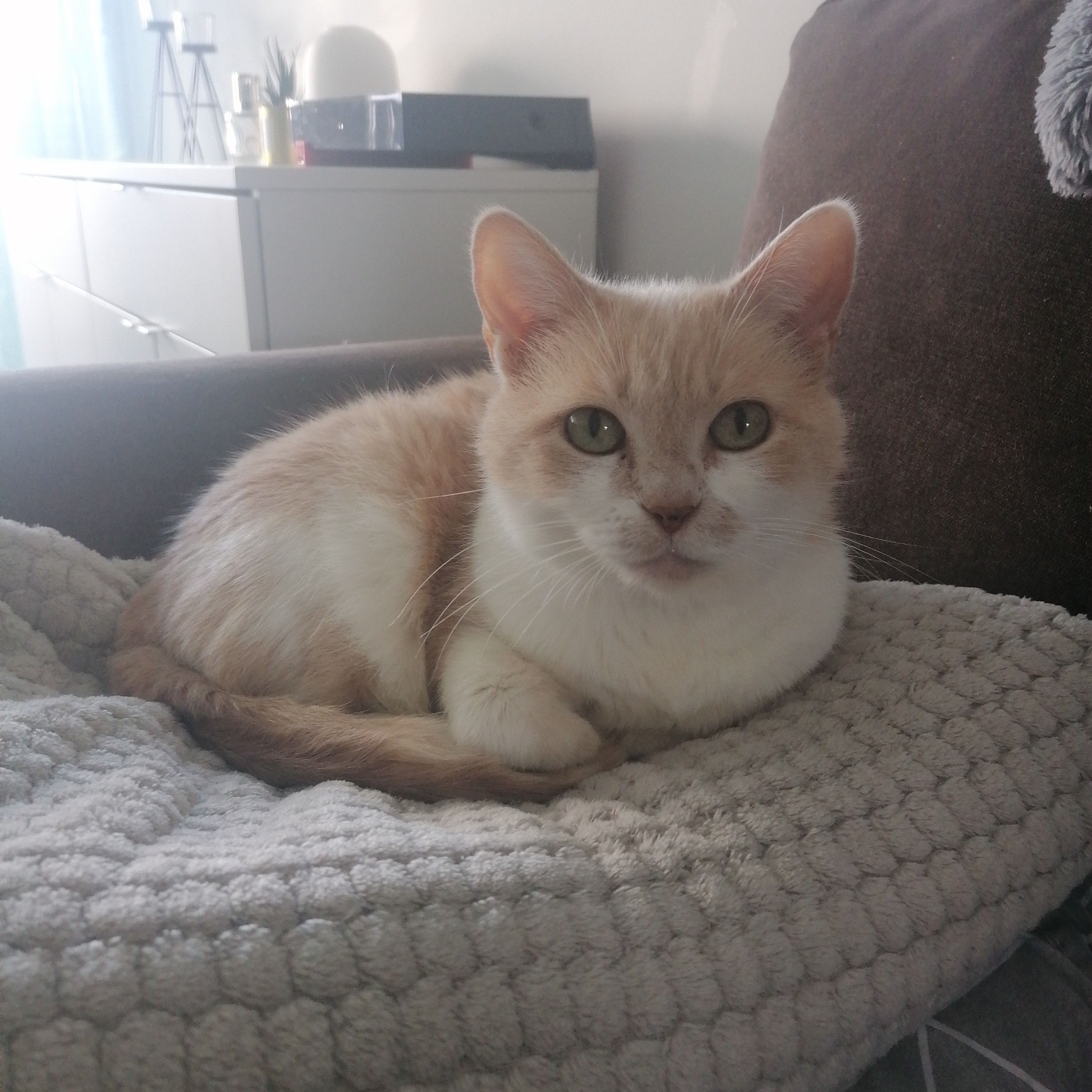 Missy