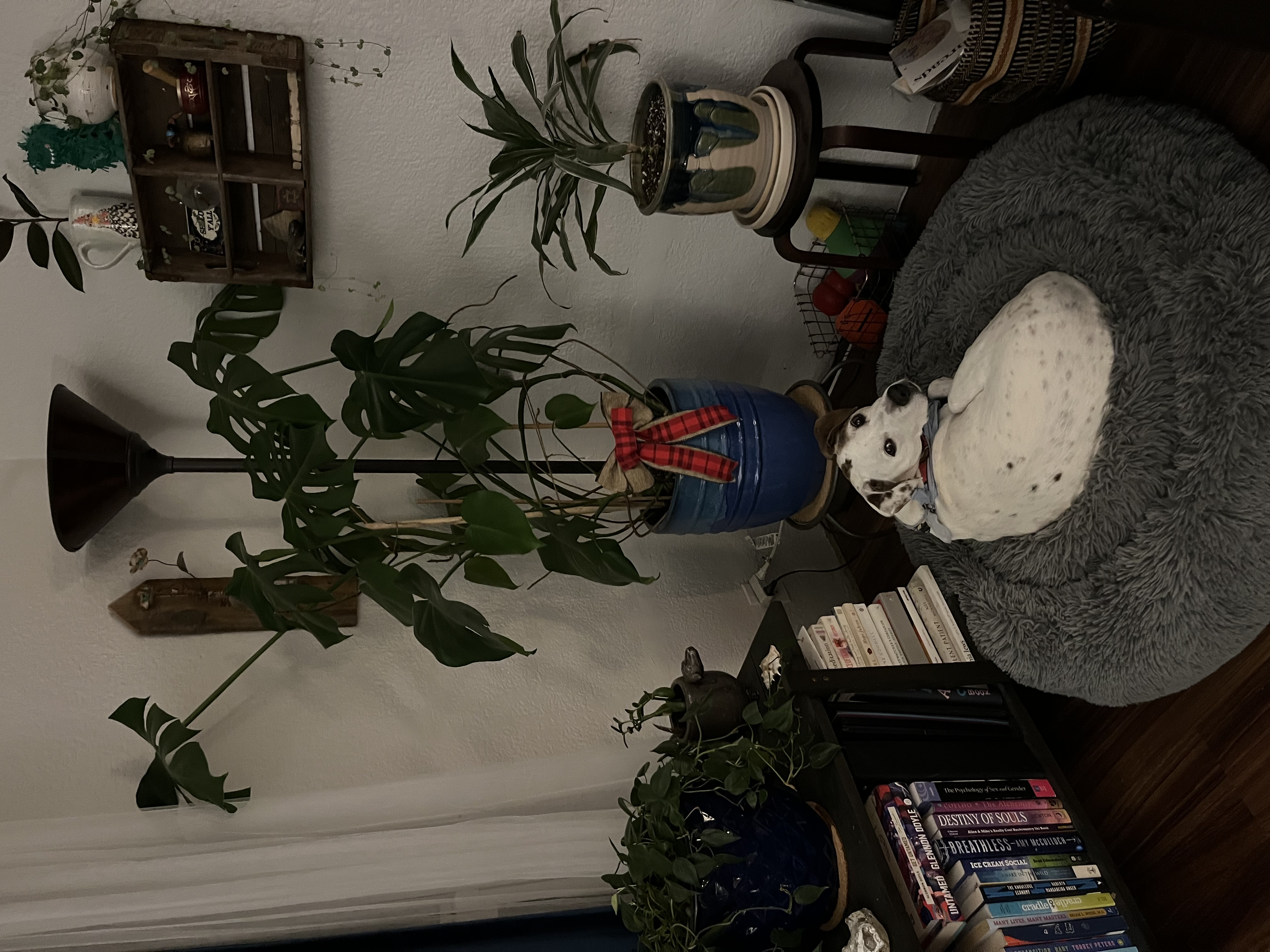 image-10