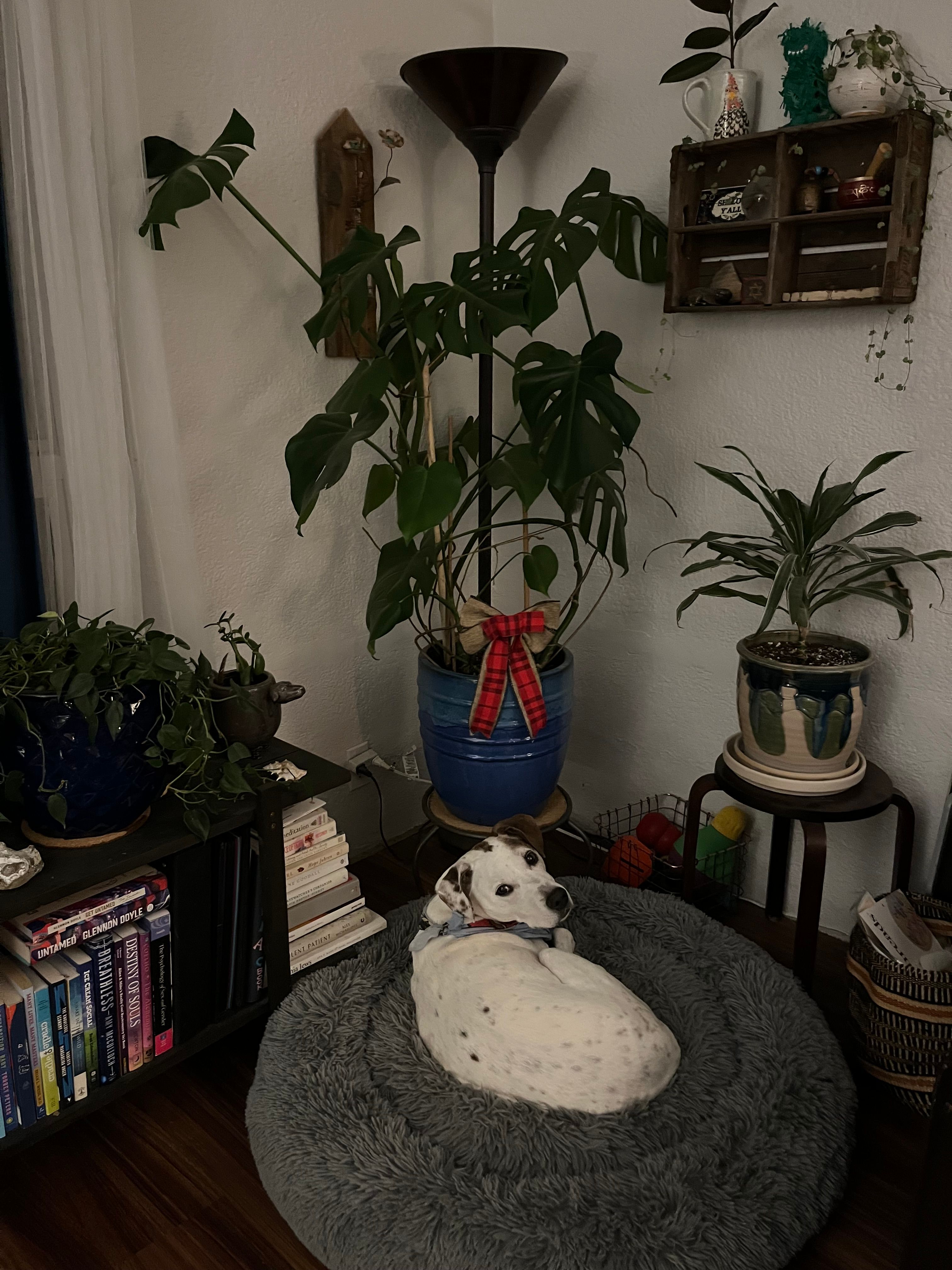 image-10