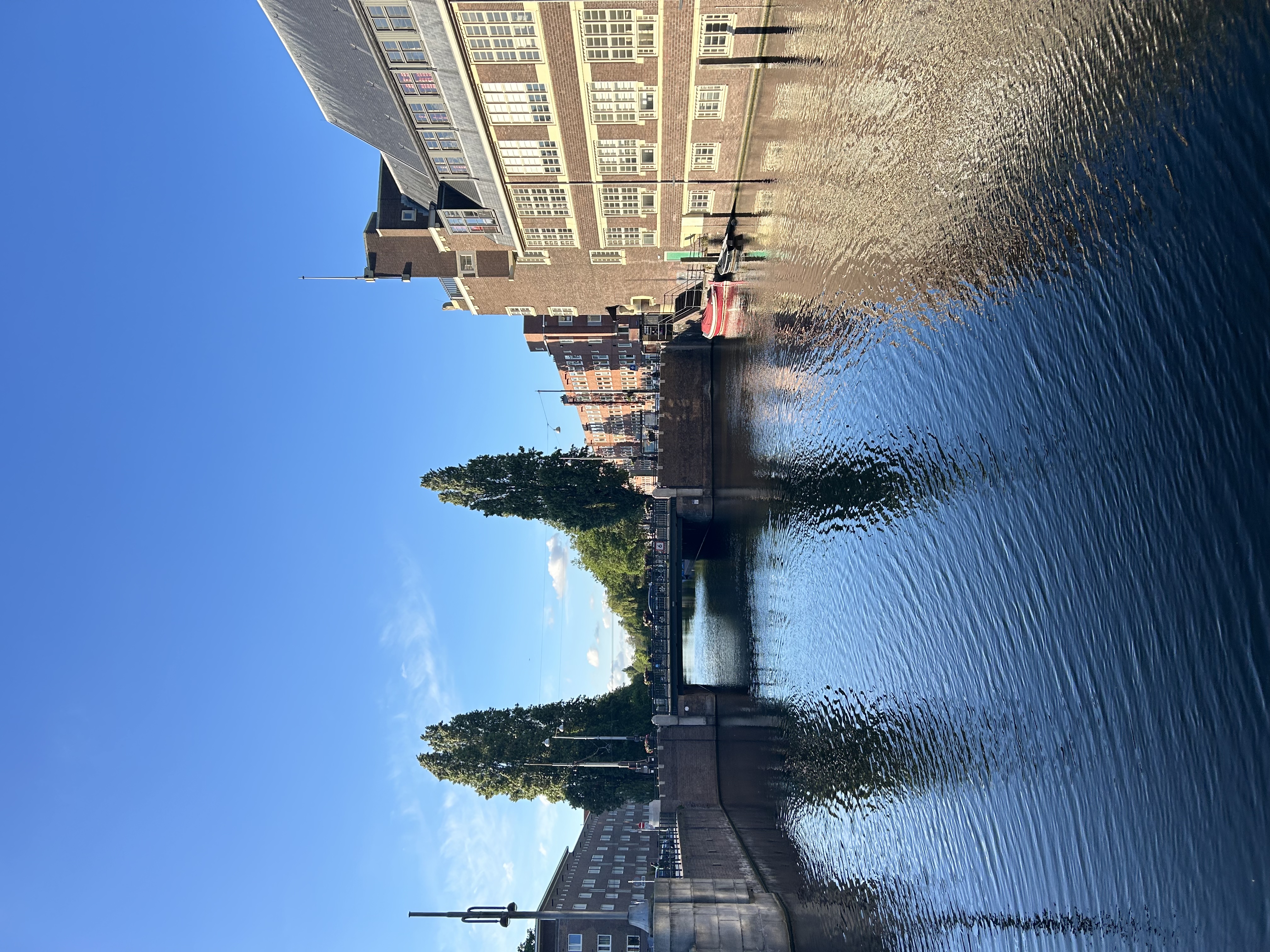 image-18