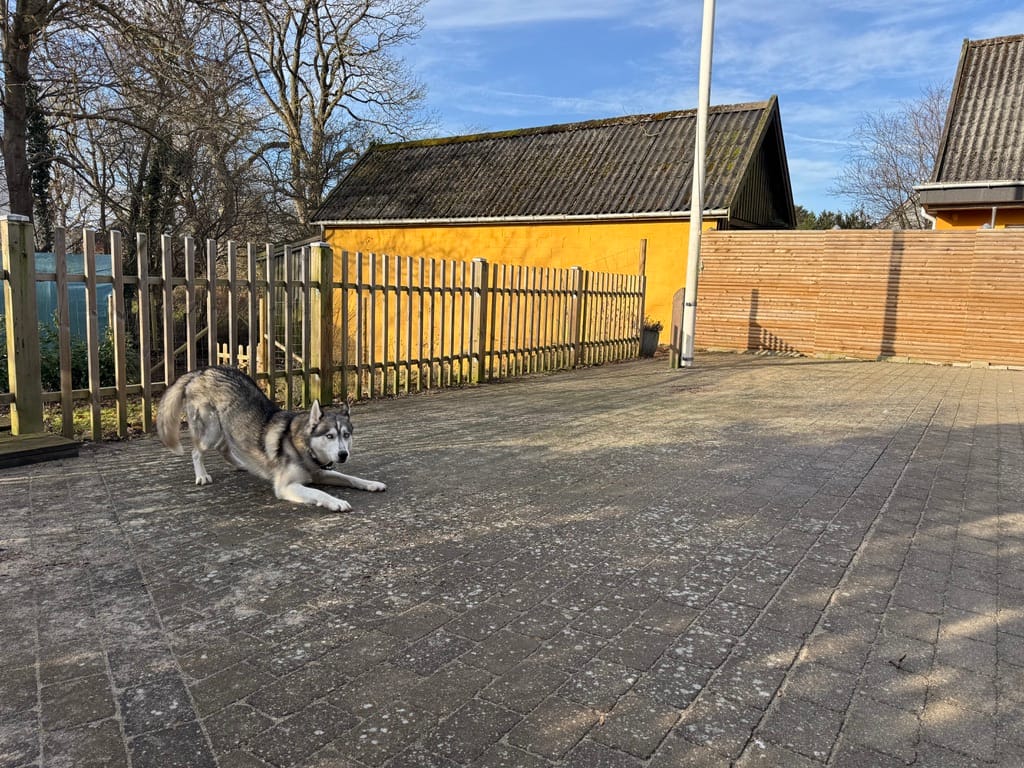 image-16