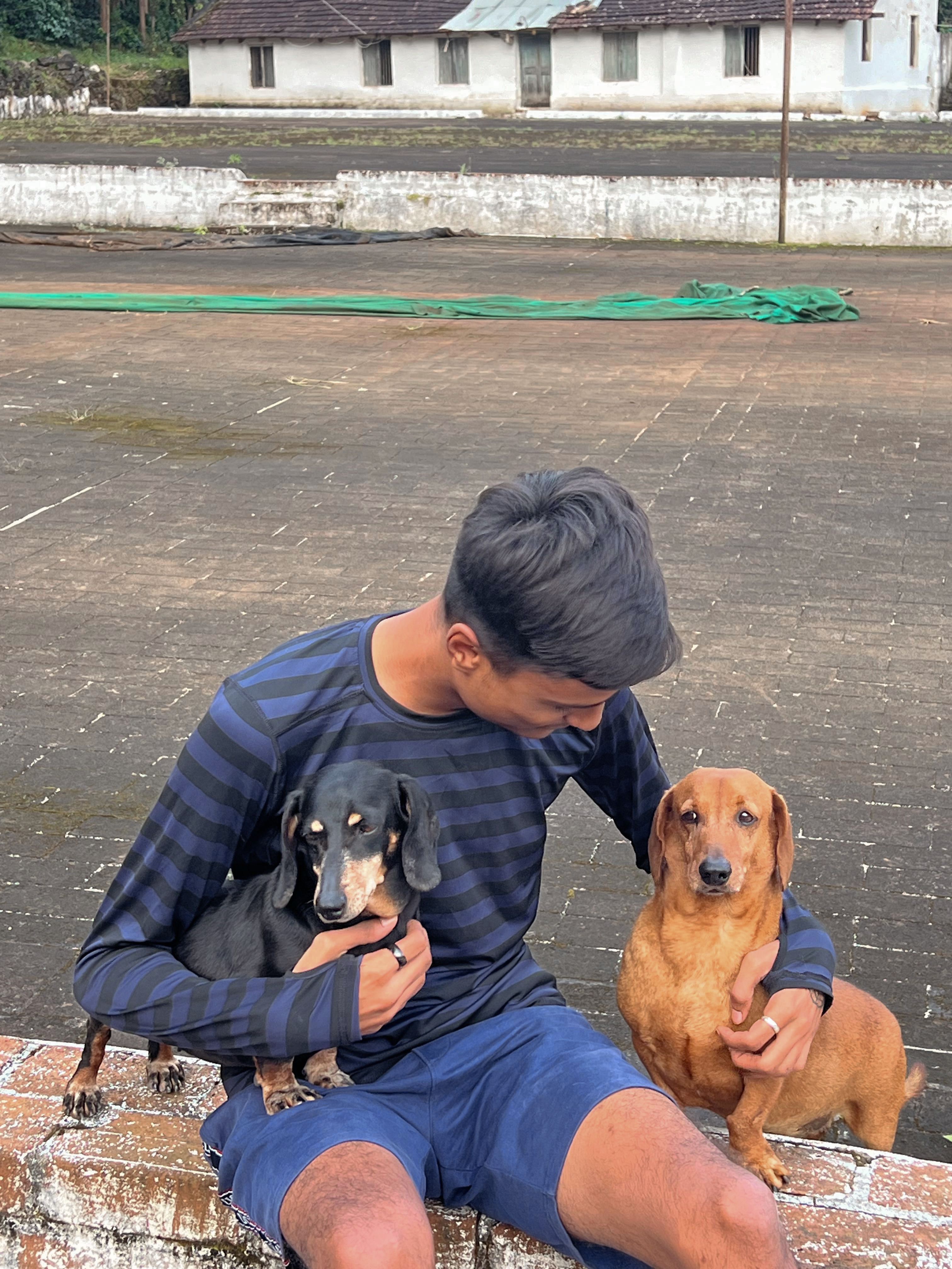 image-8