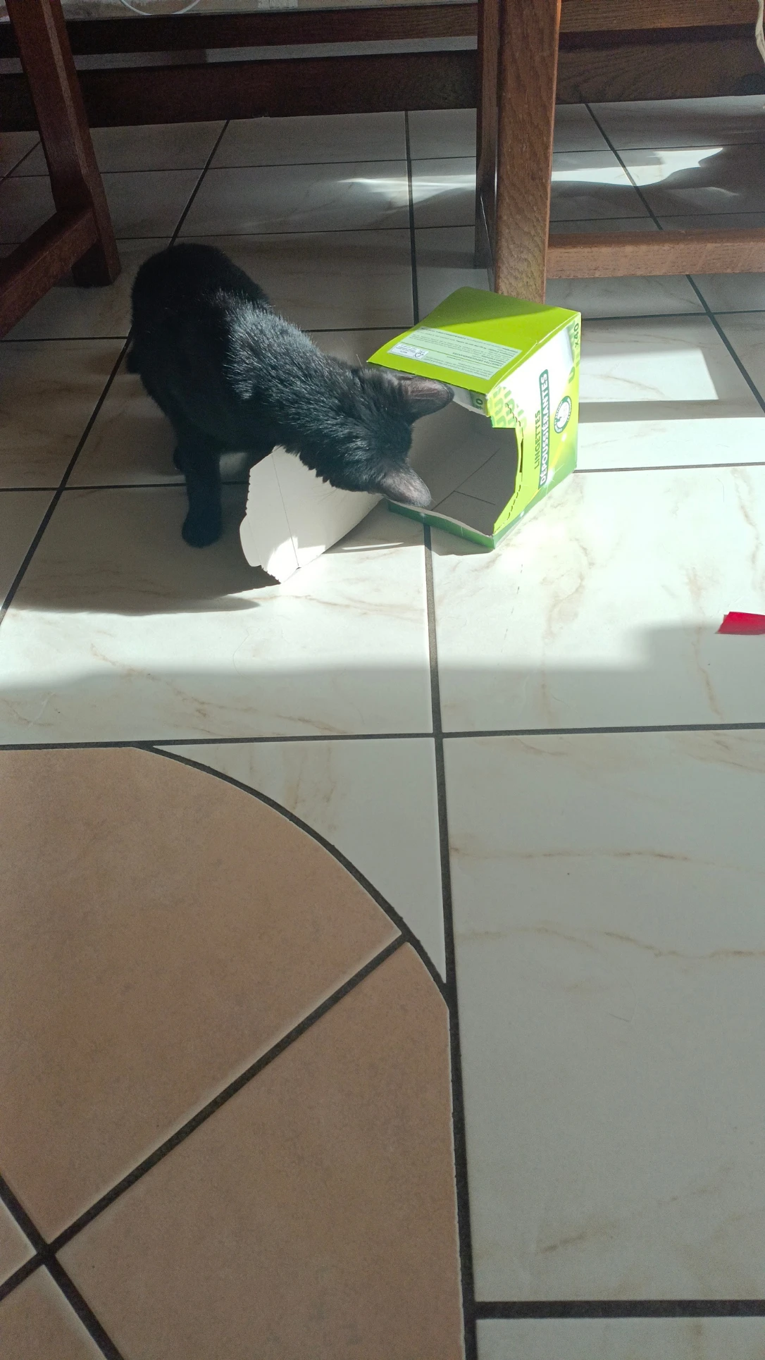 image-7