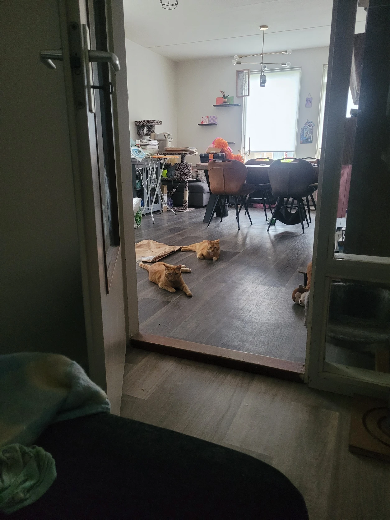 image-17