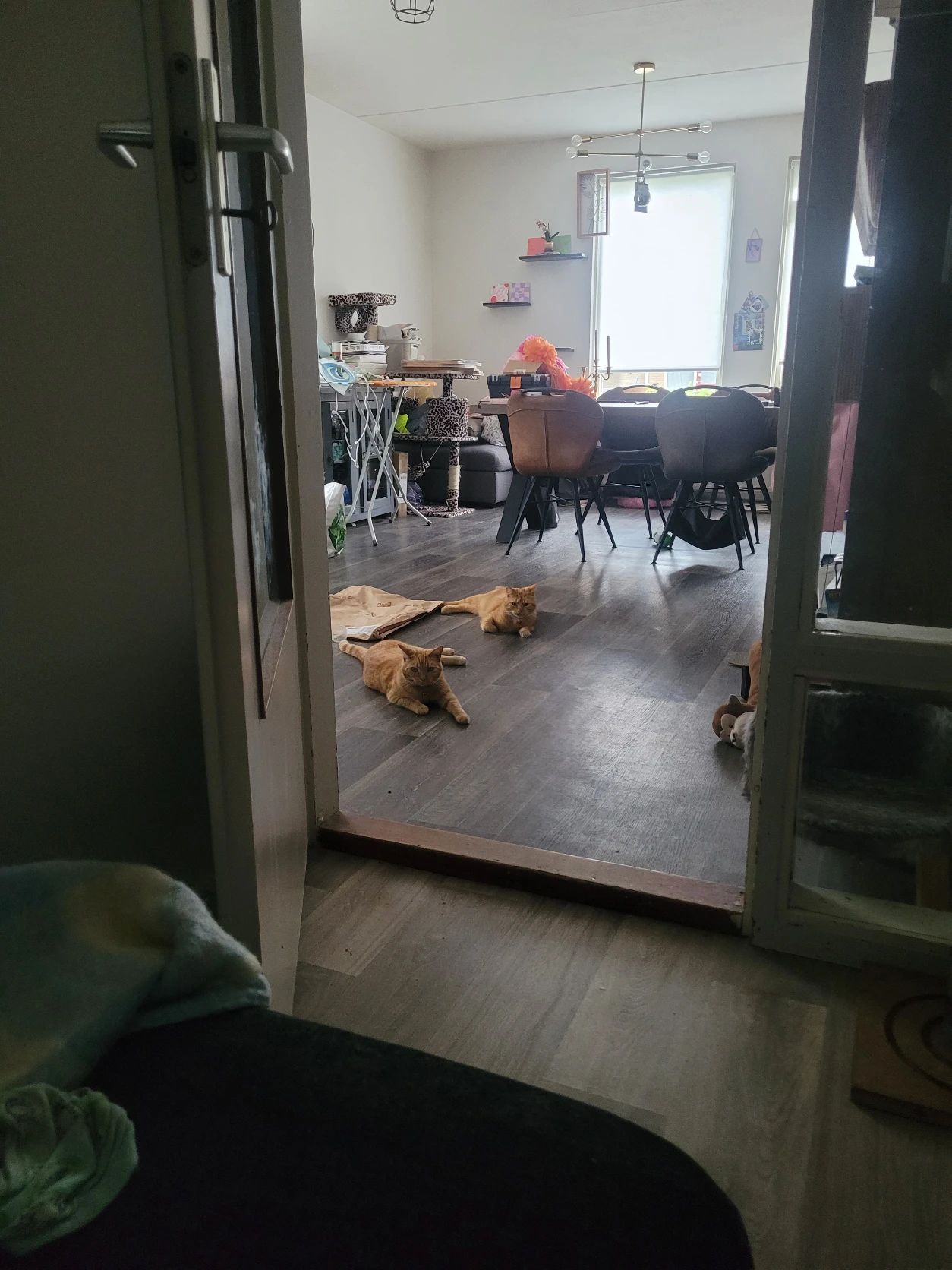 image-17