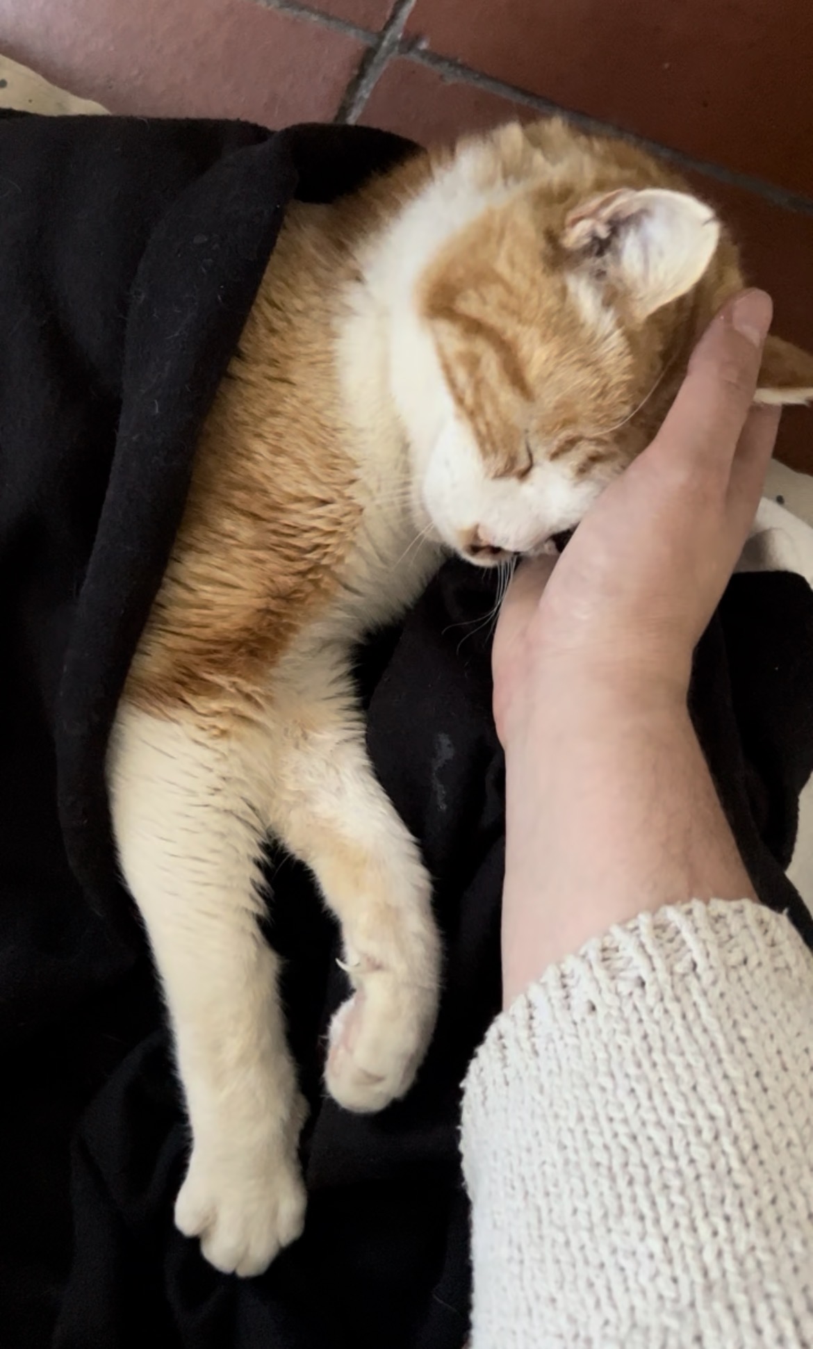 image-6