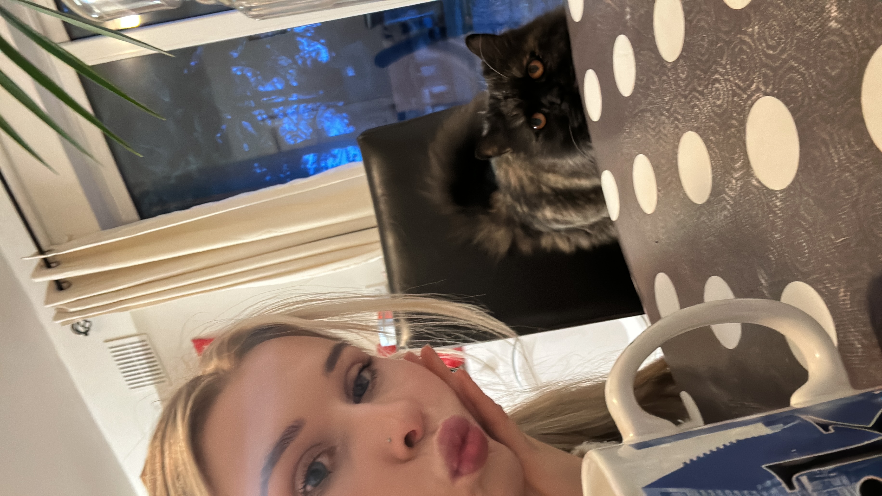image-2