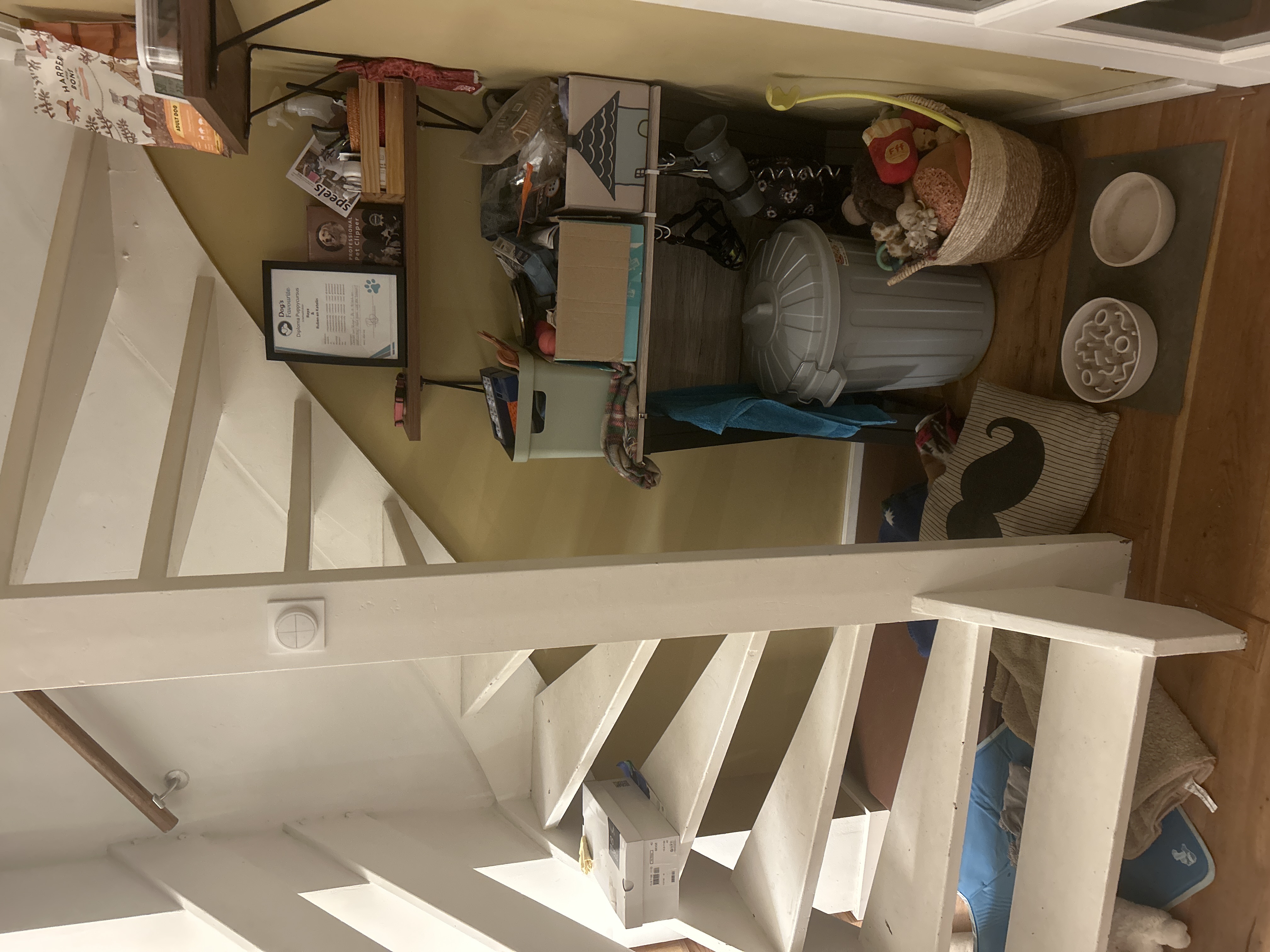 image-9