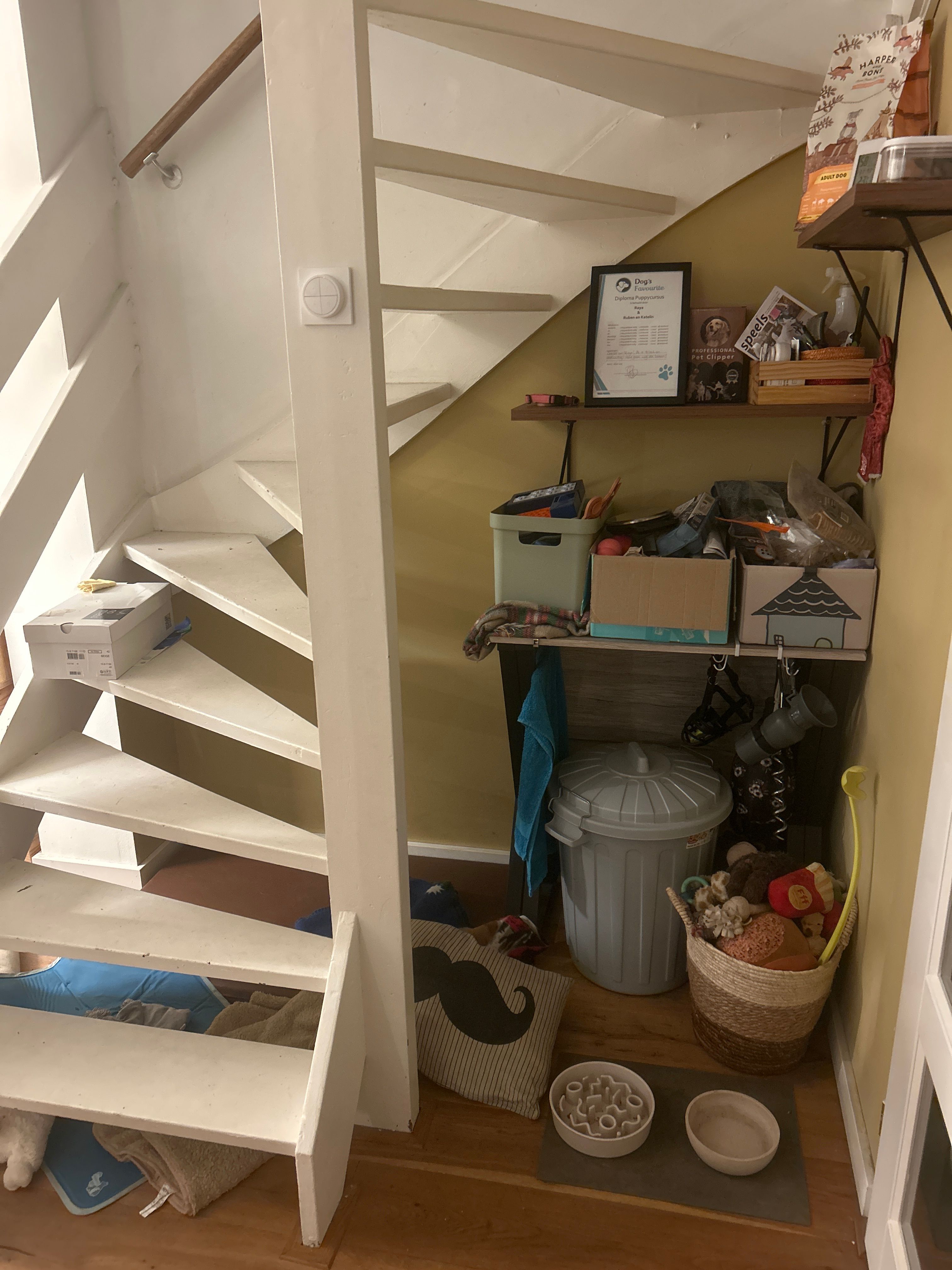 image-9