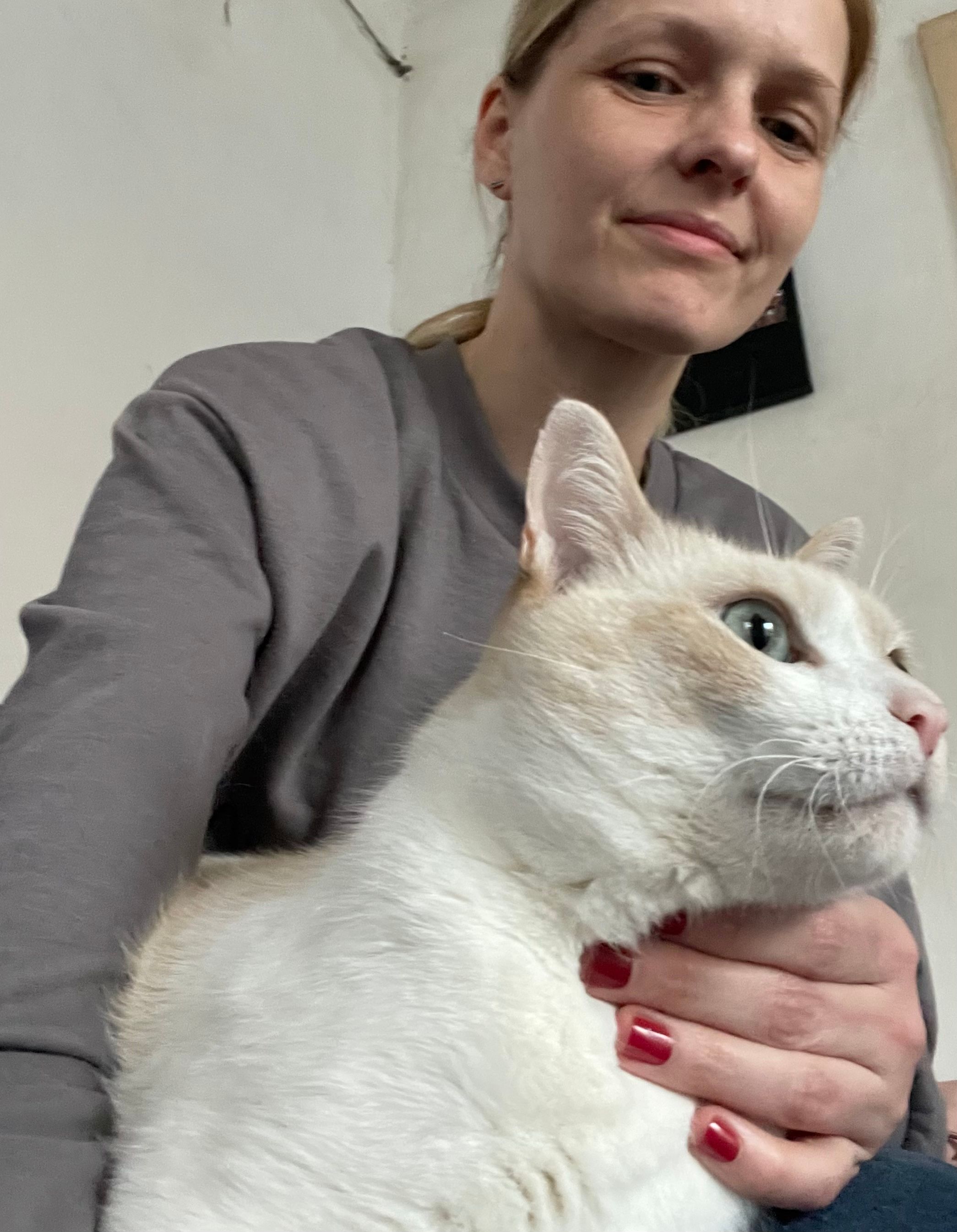 image-8
