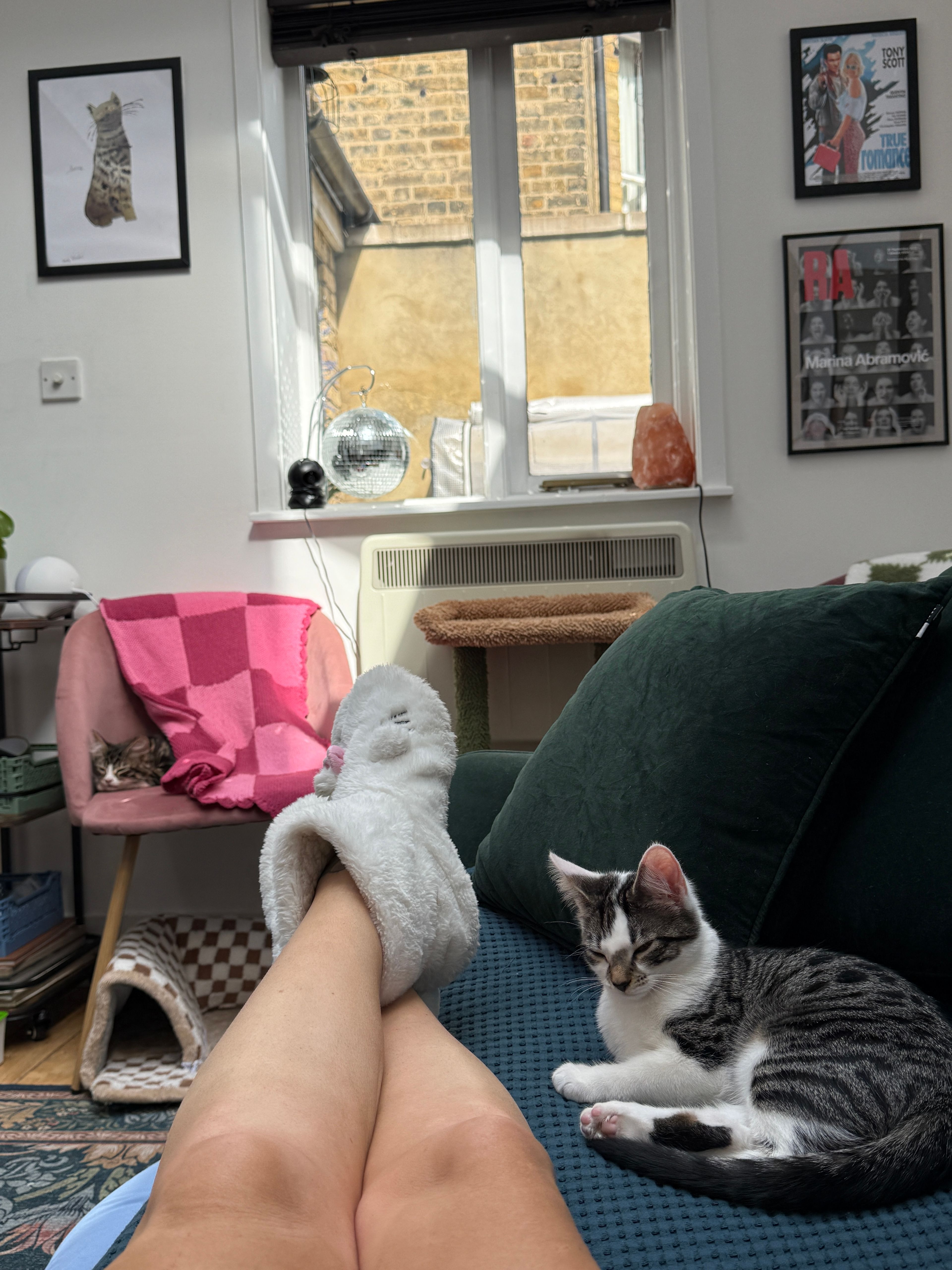 image-6