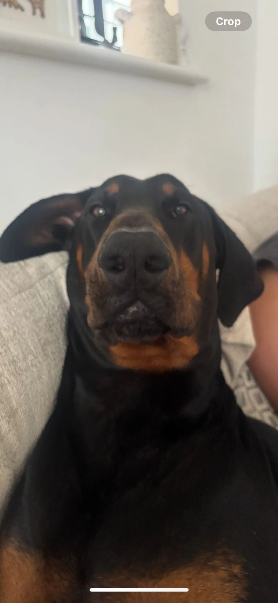 image-14