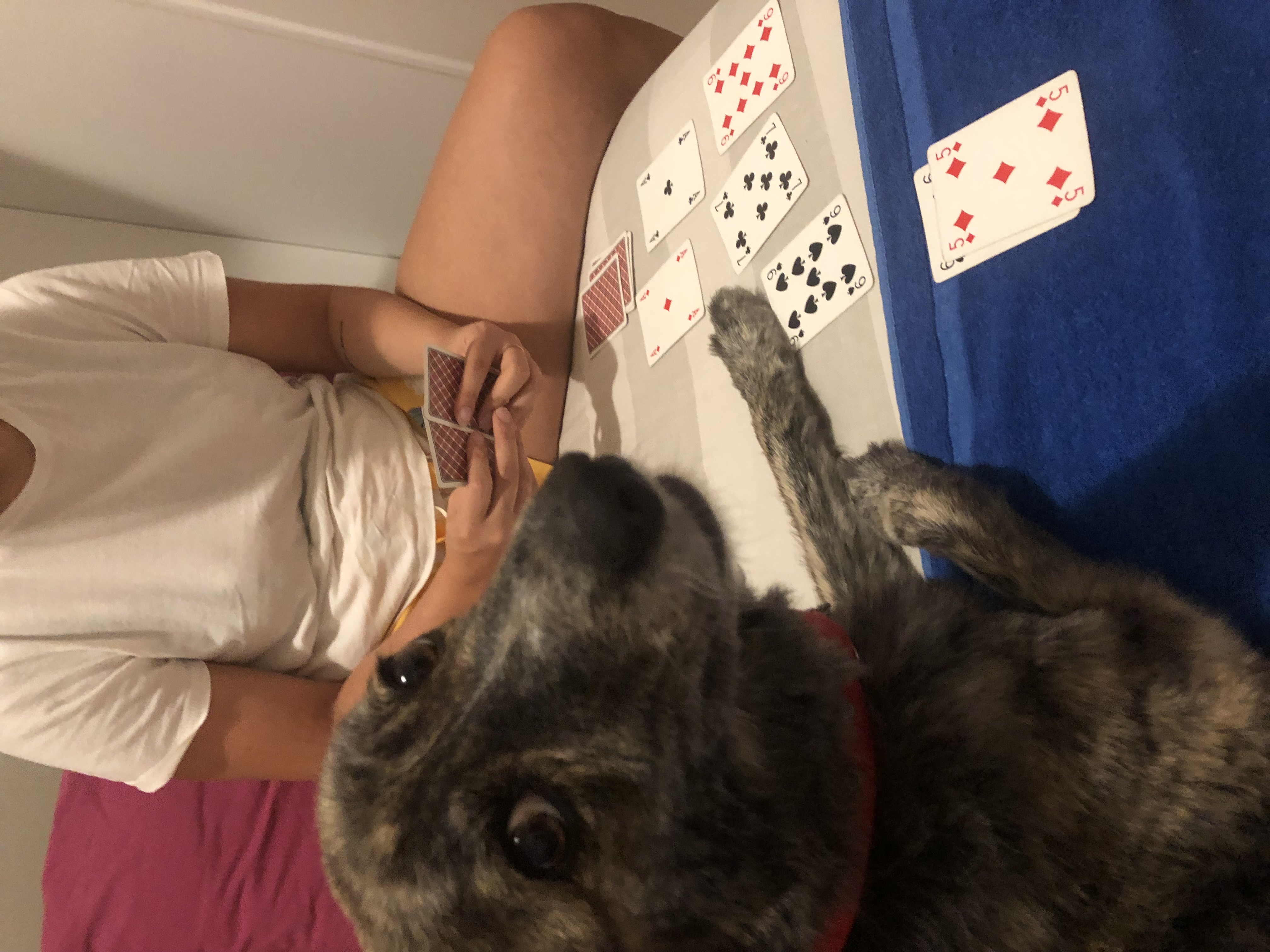 image-7