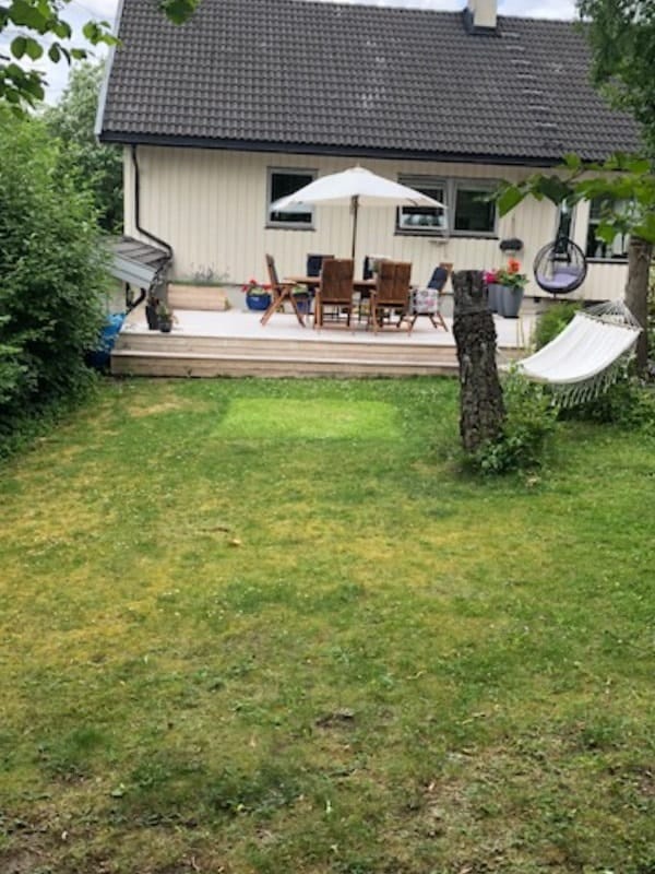 image-17
