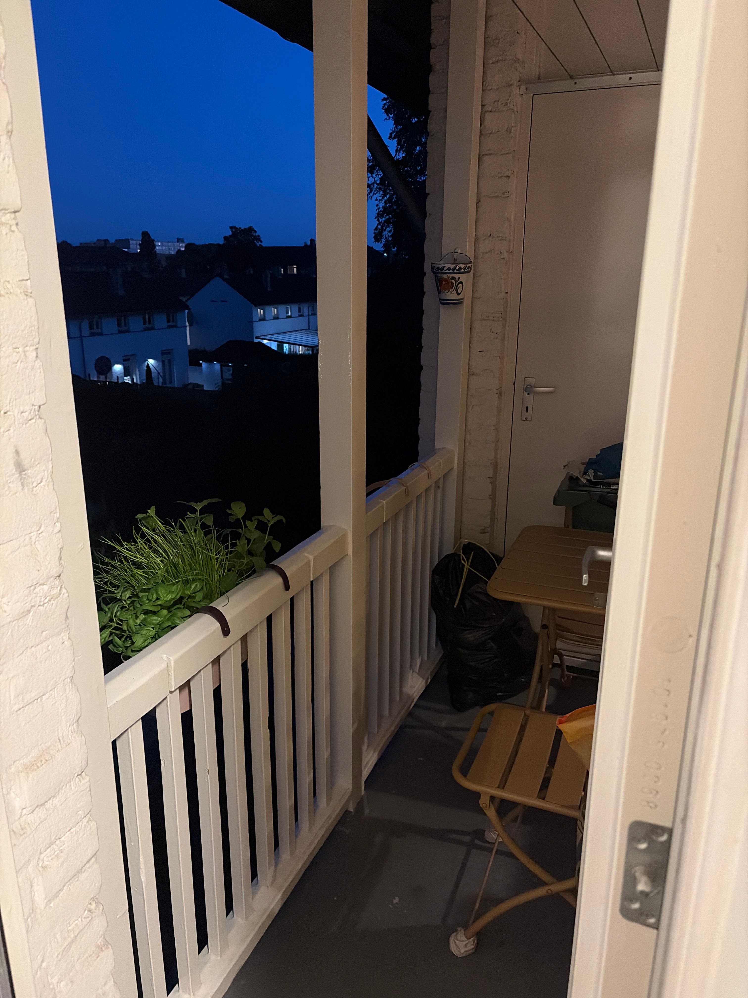 image-8