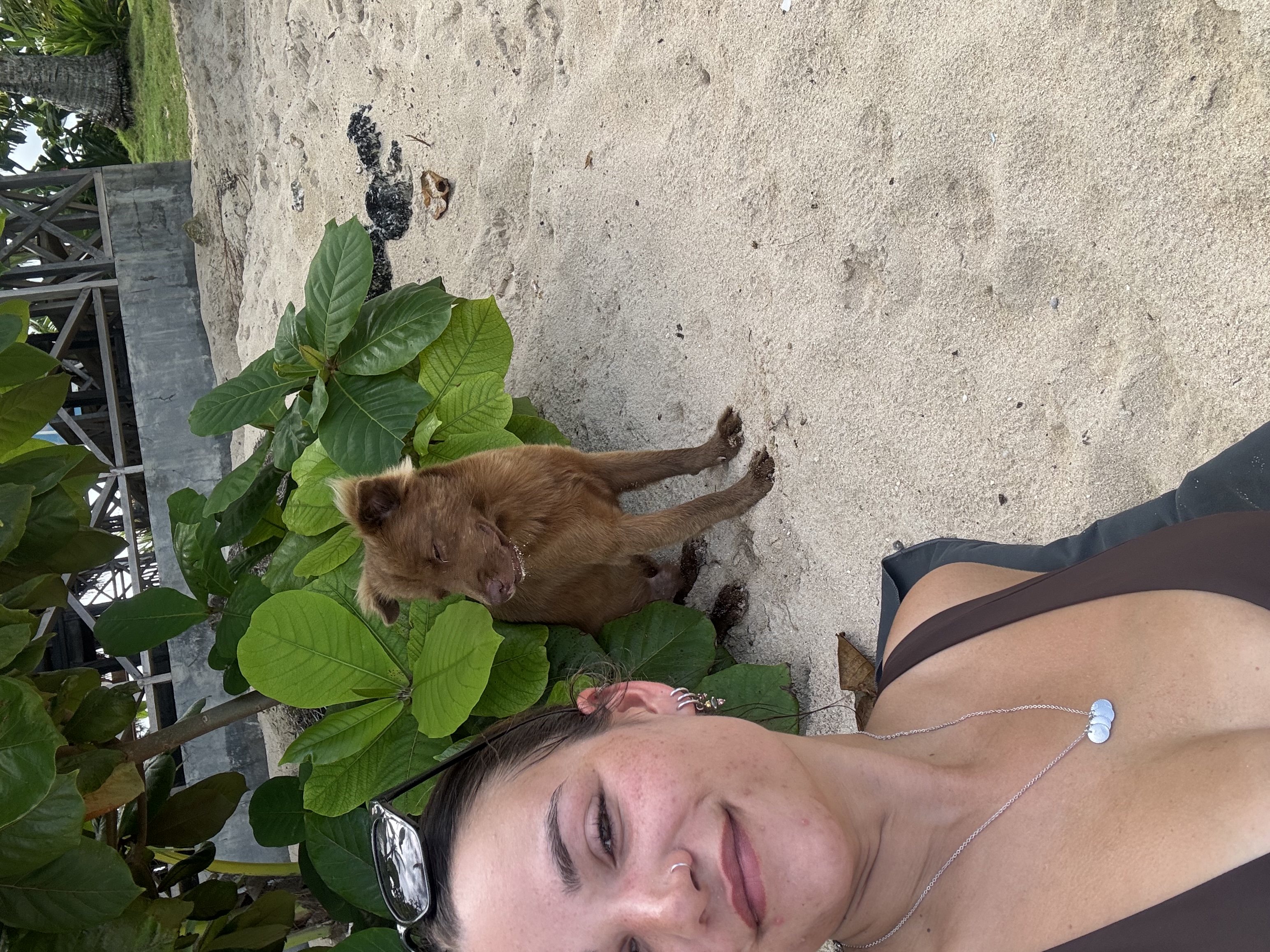 image-4