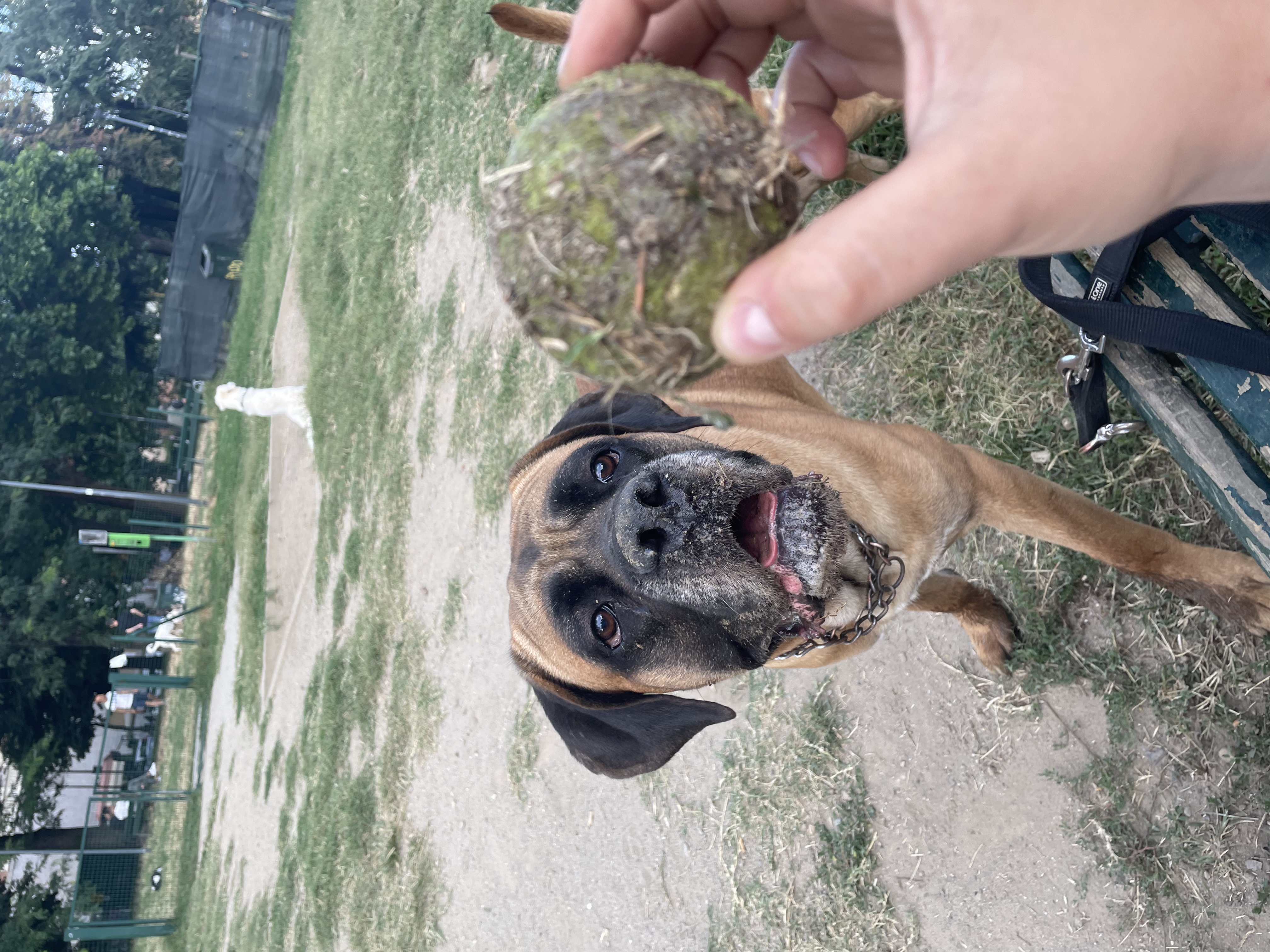 image-6