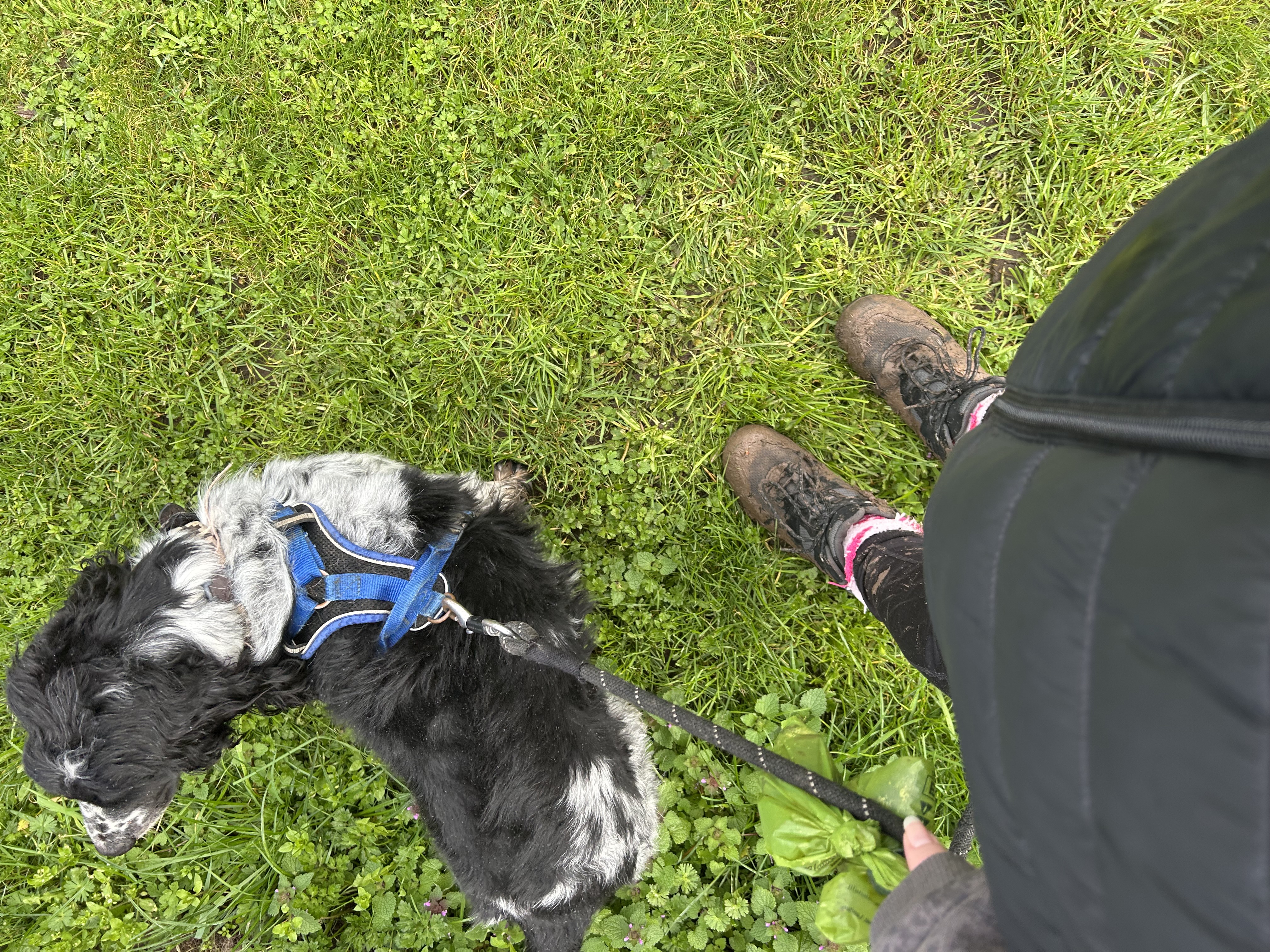 image-7