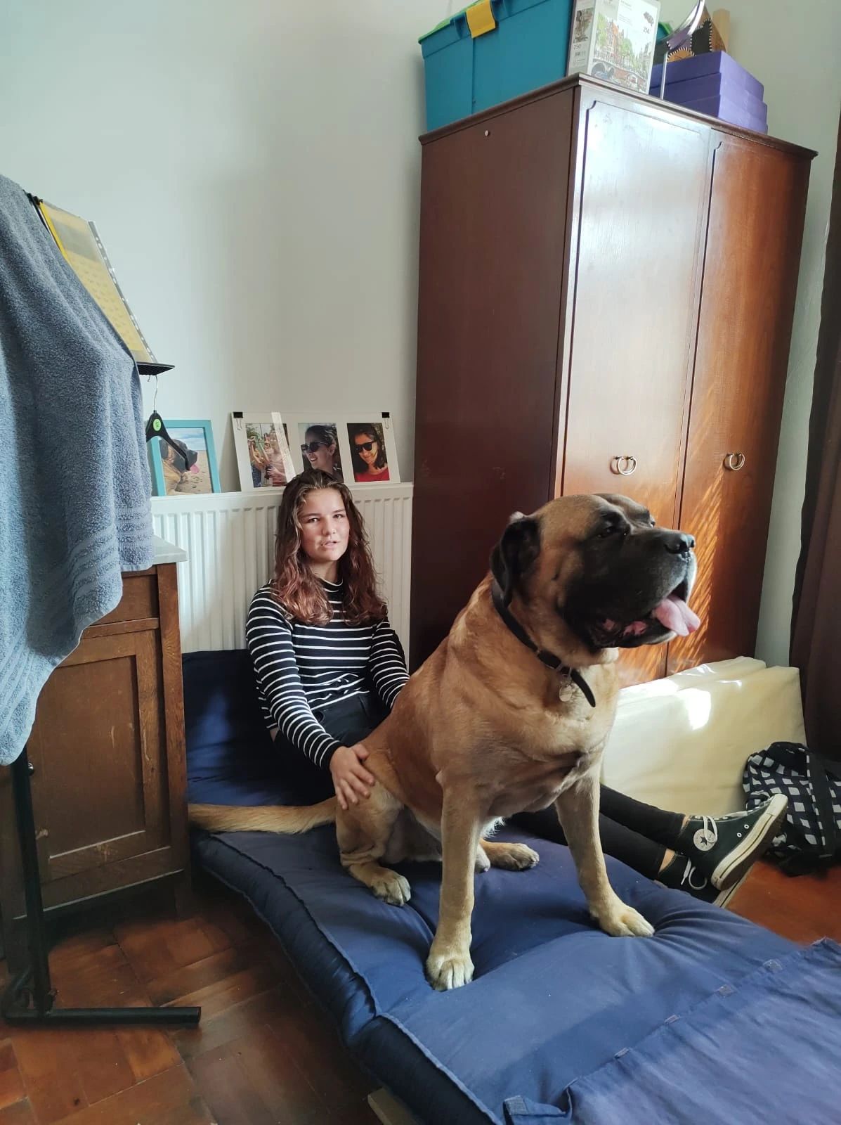 image-3