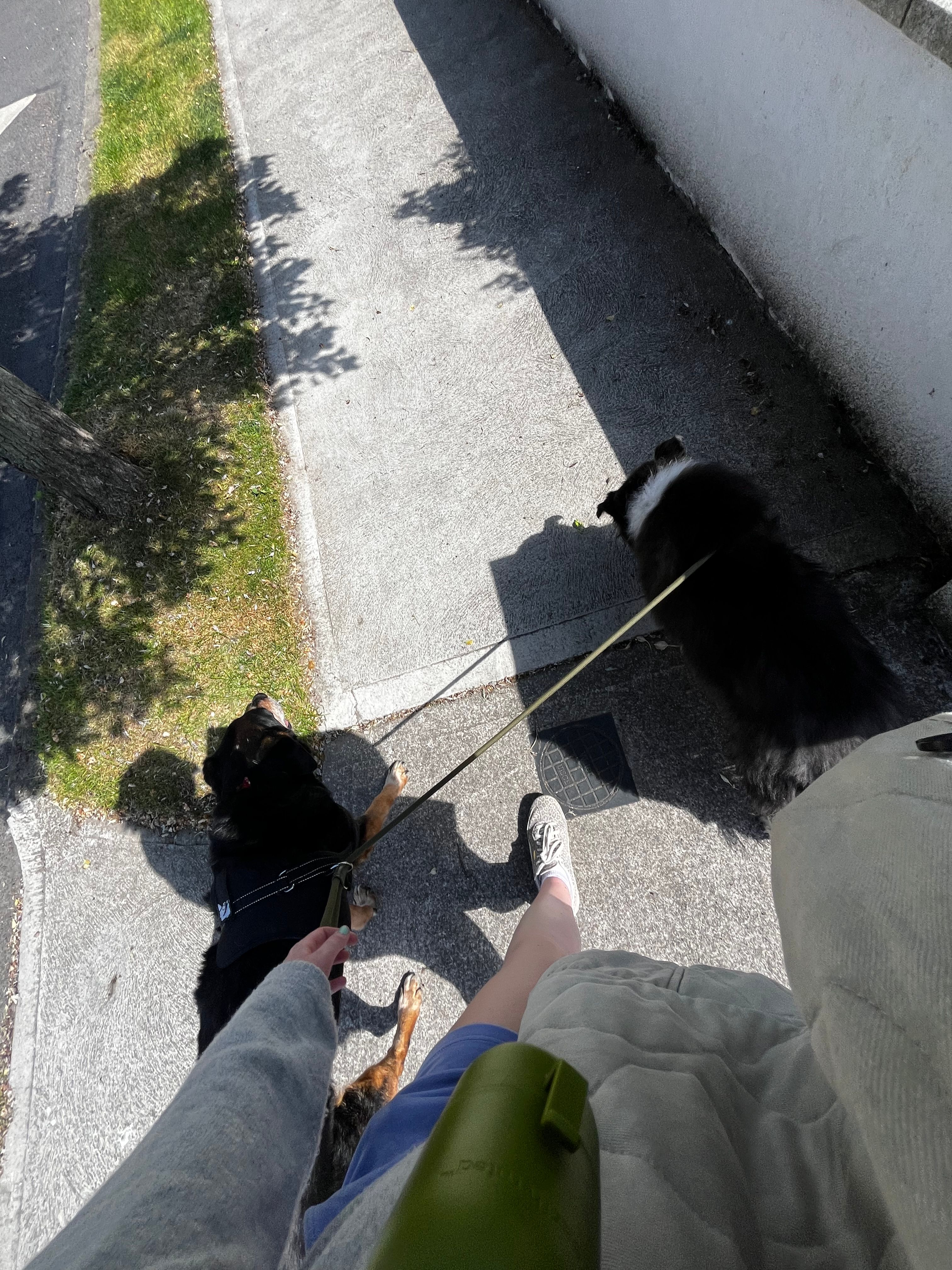 image-4