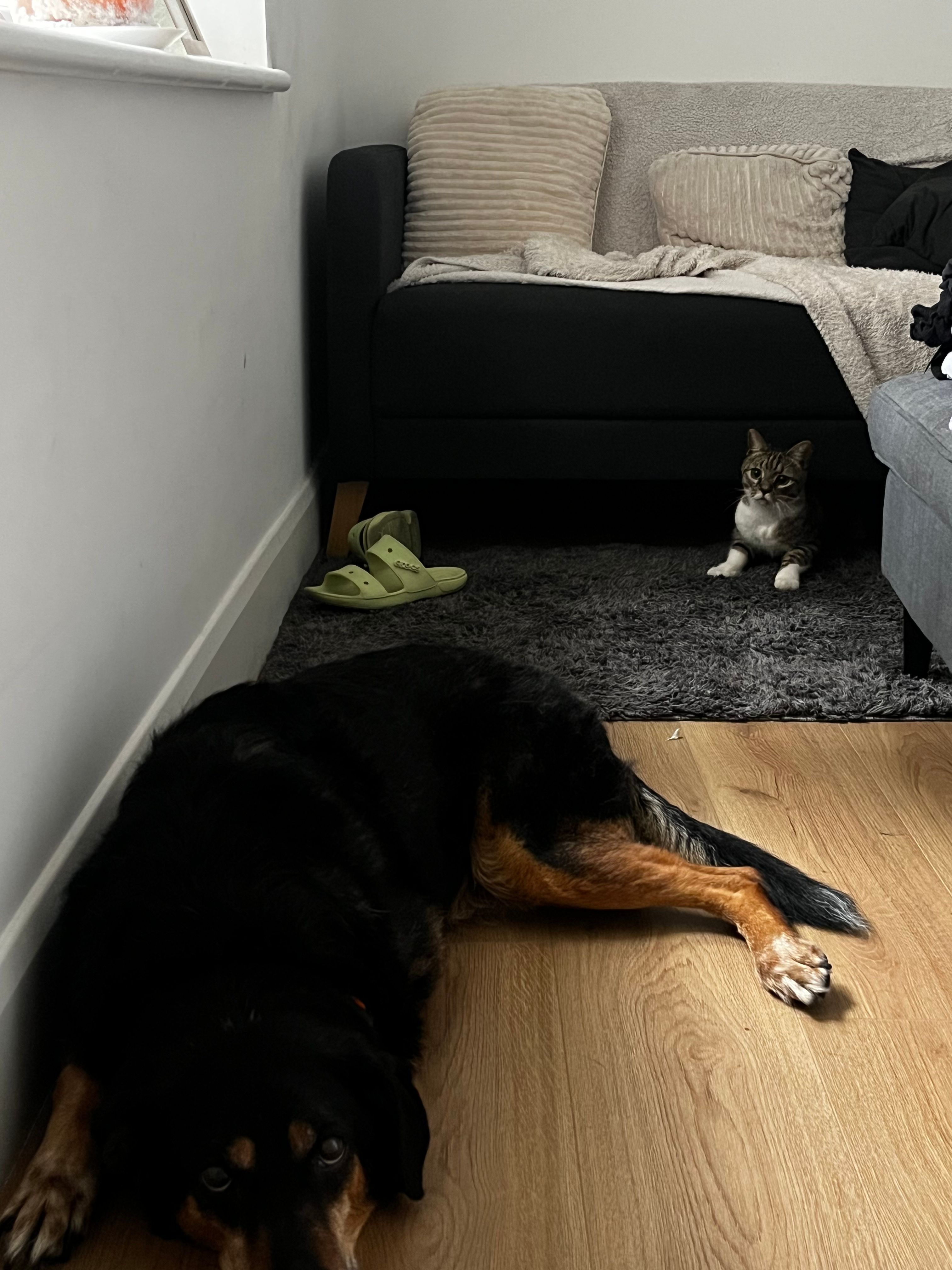 image-11