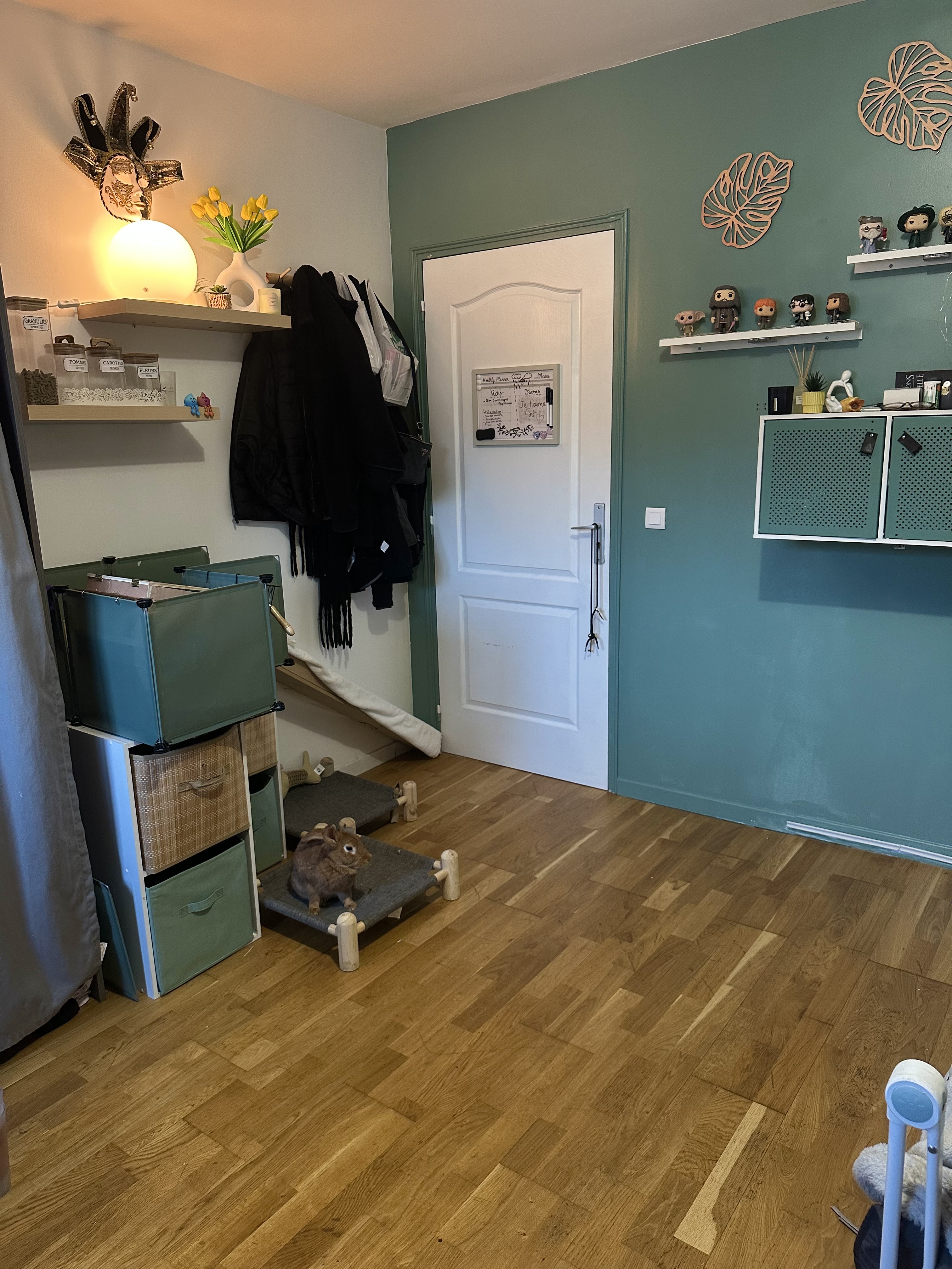 image-10