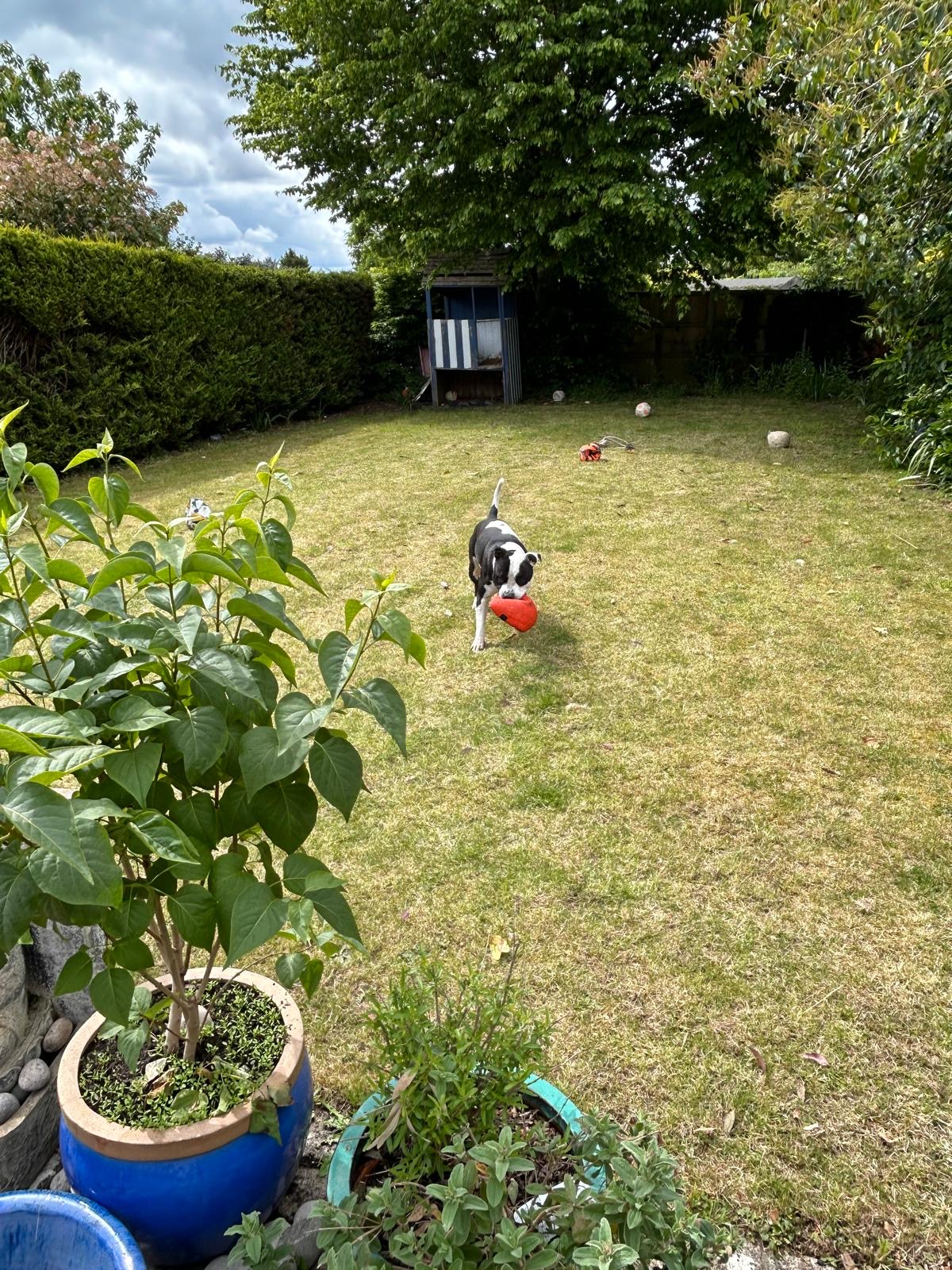image-10