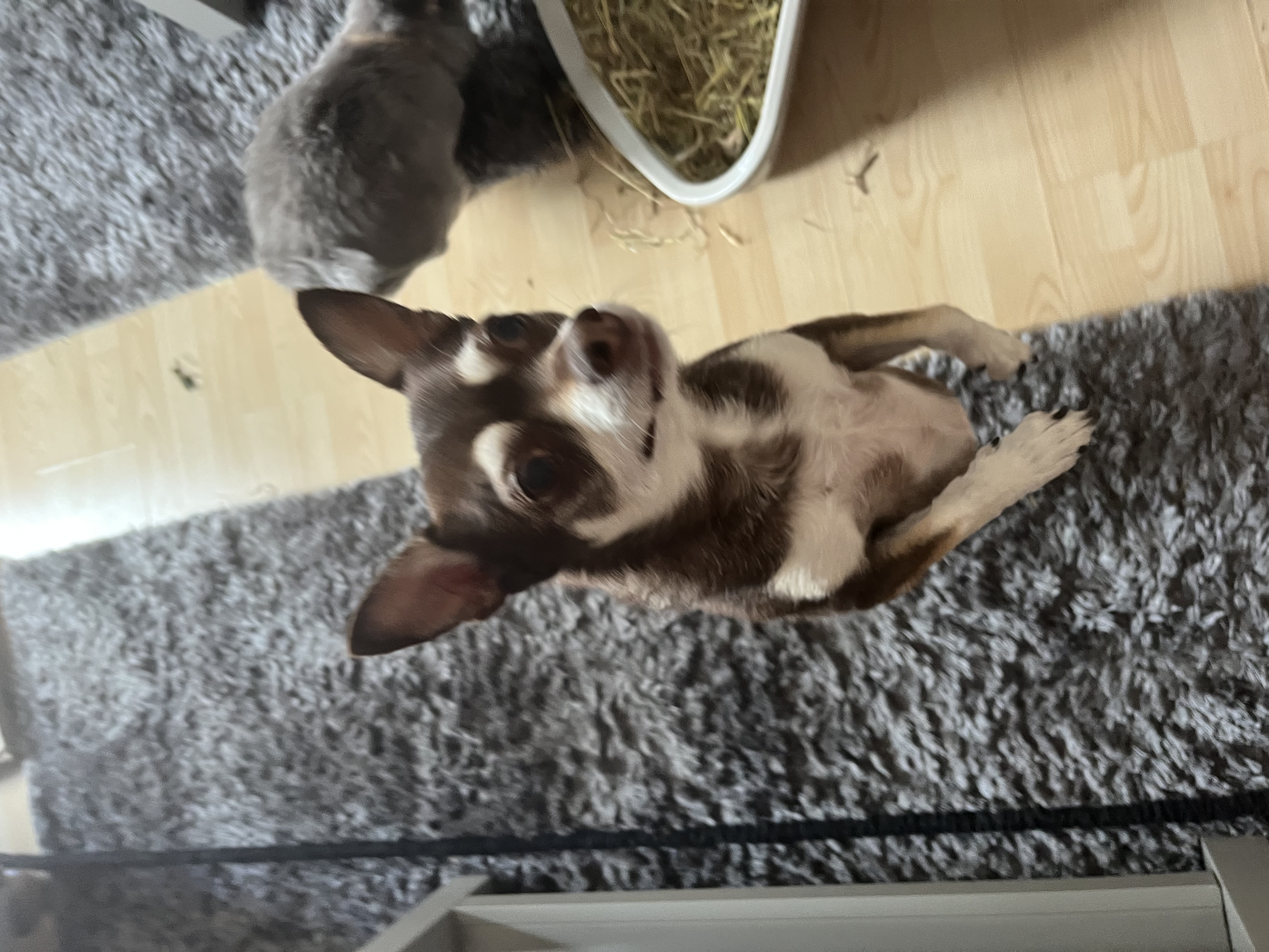 image-6