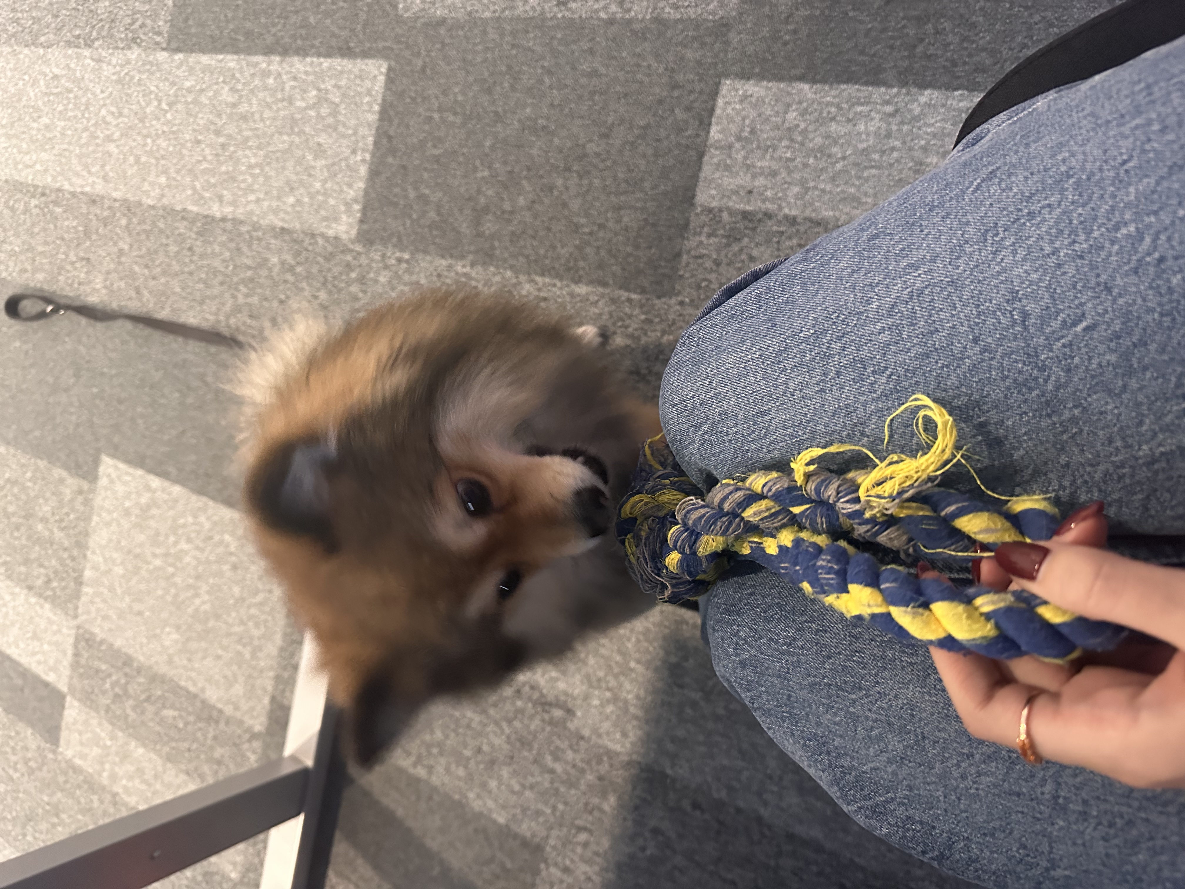image-6