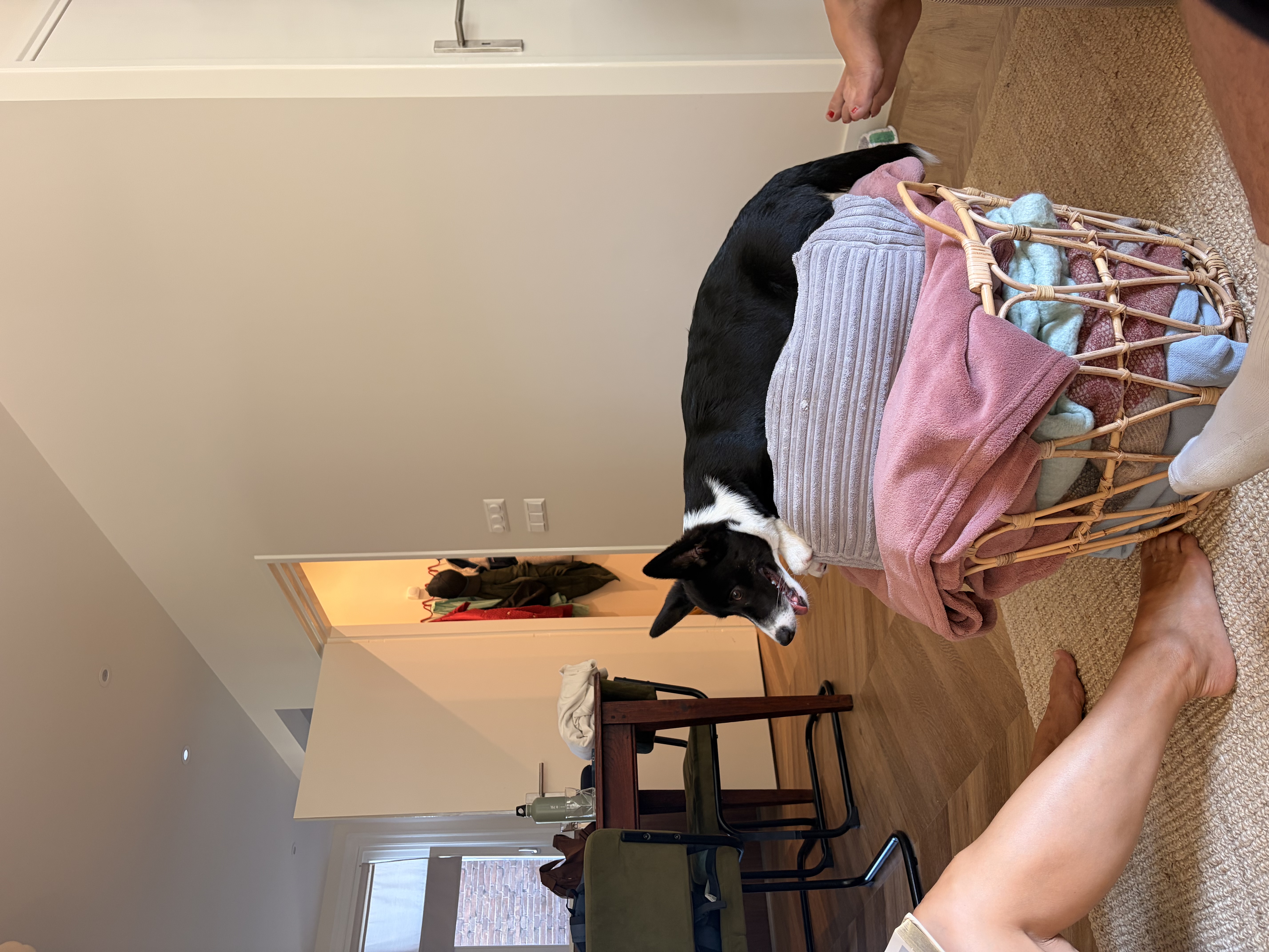 image-7