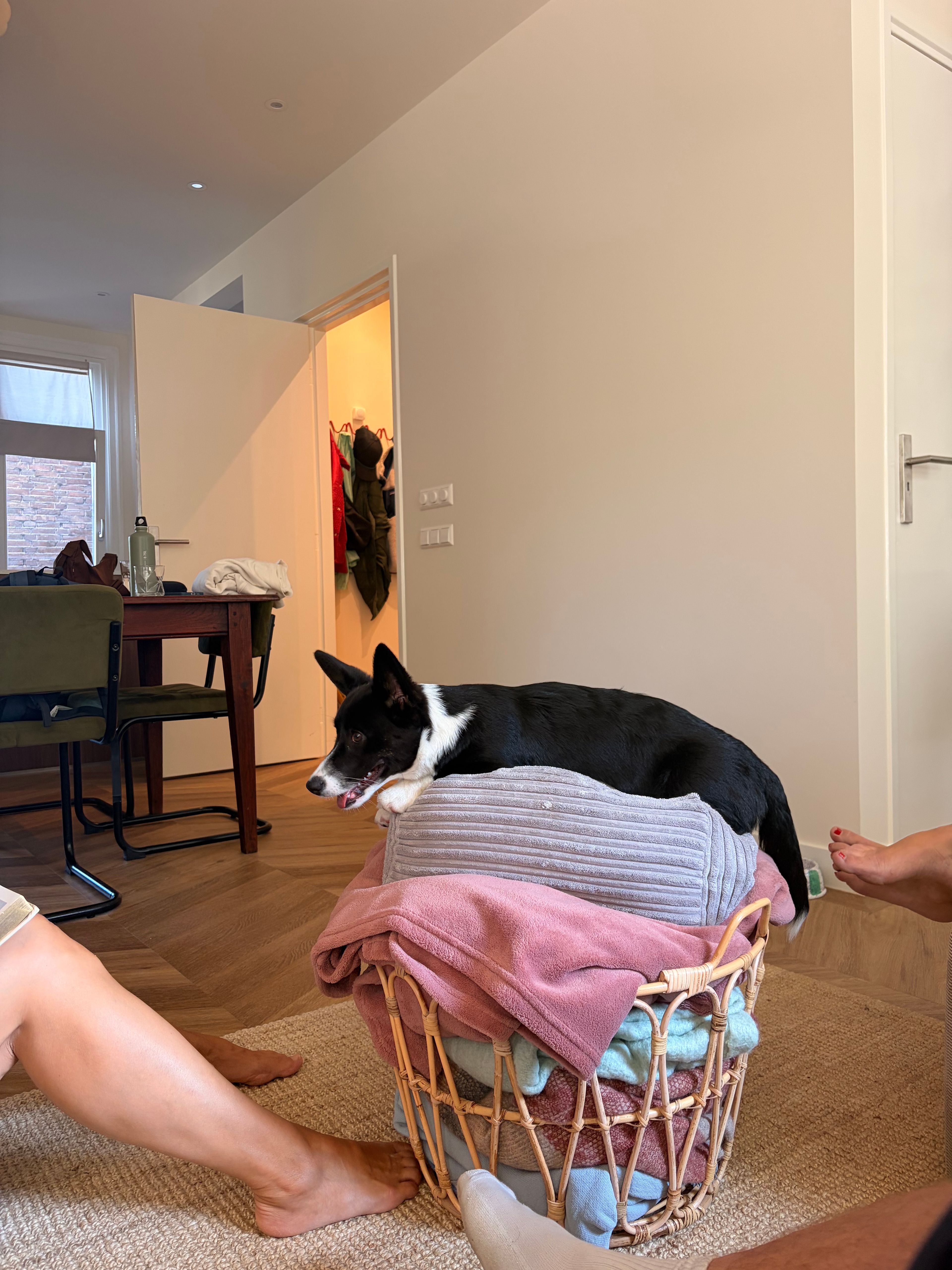image-7