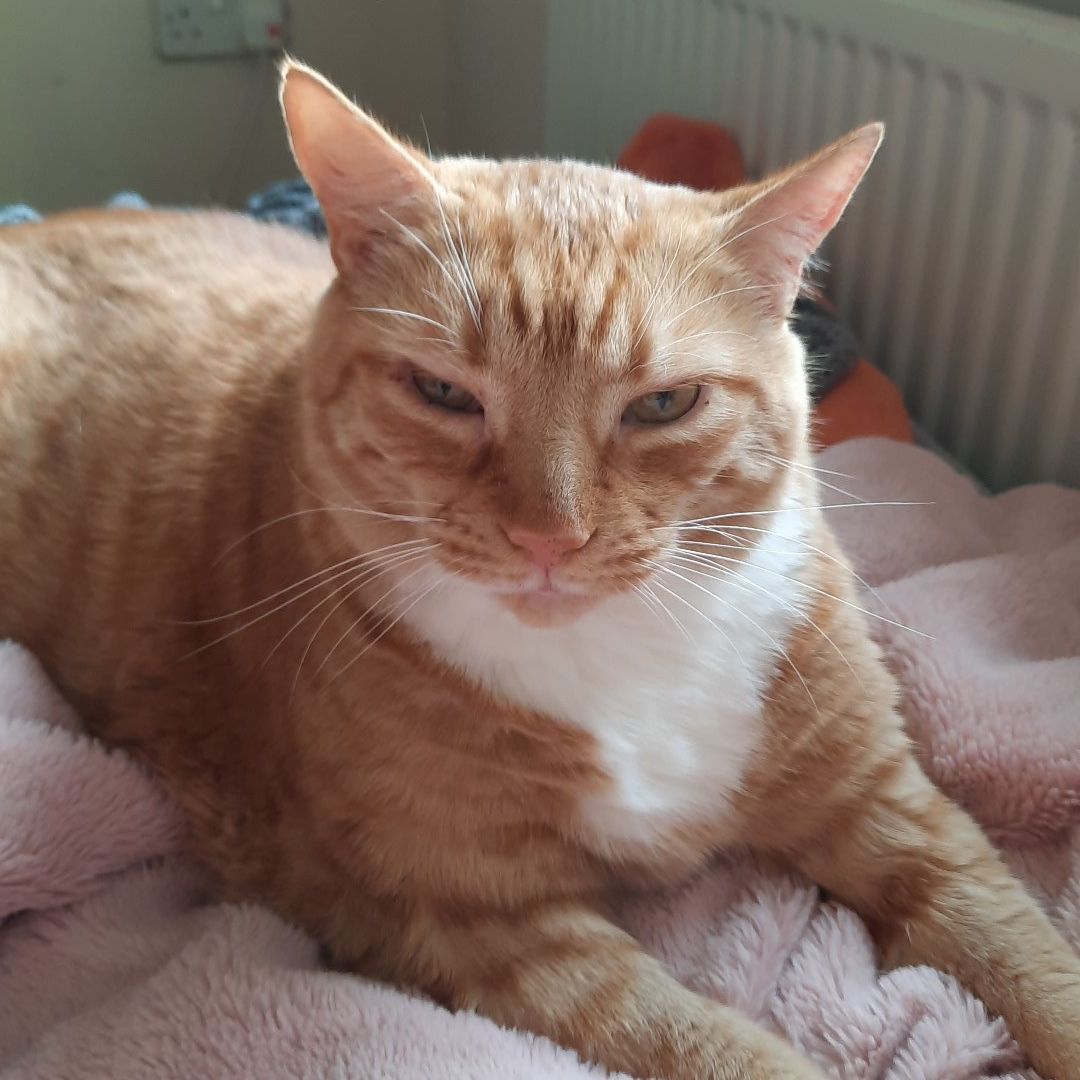 Tigger