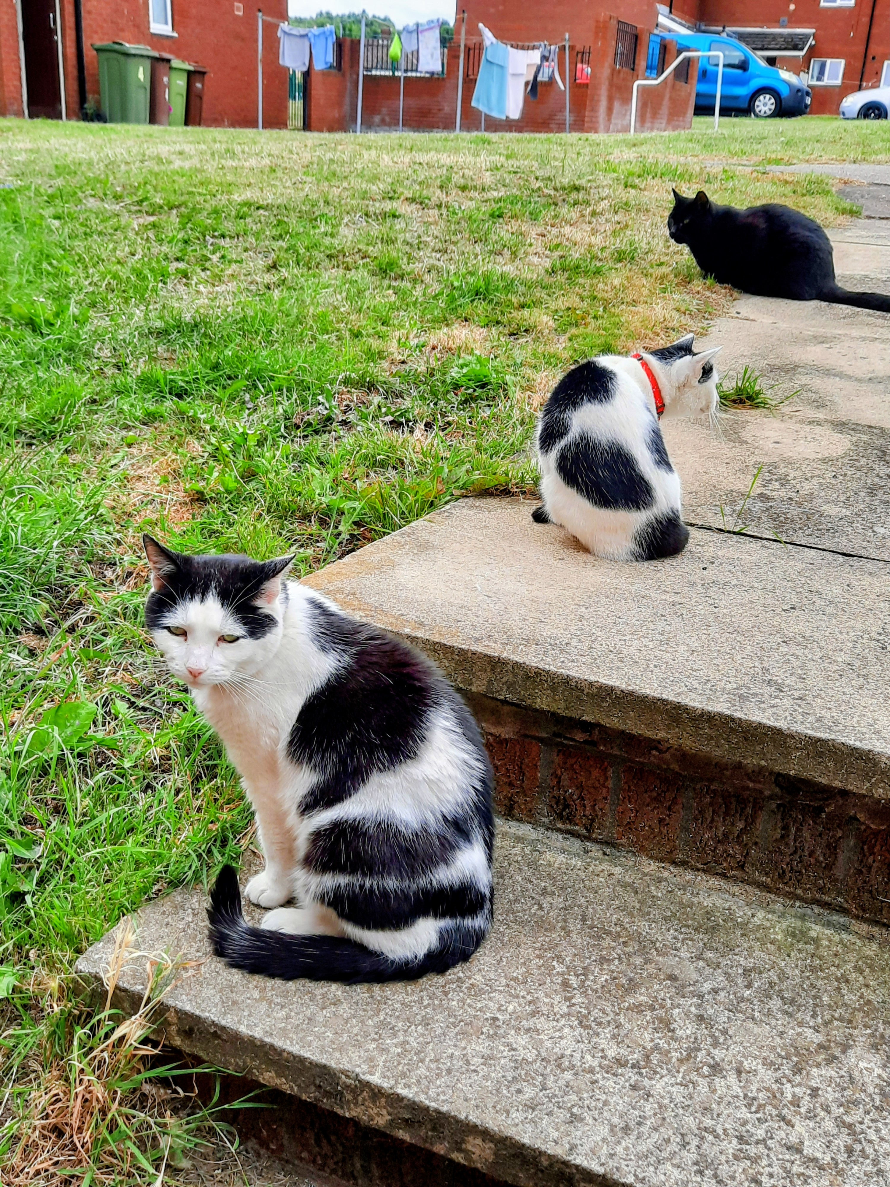 image-6